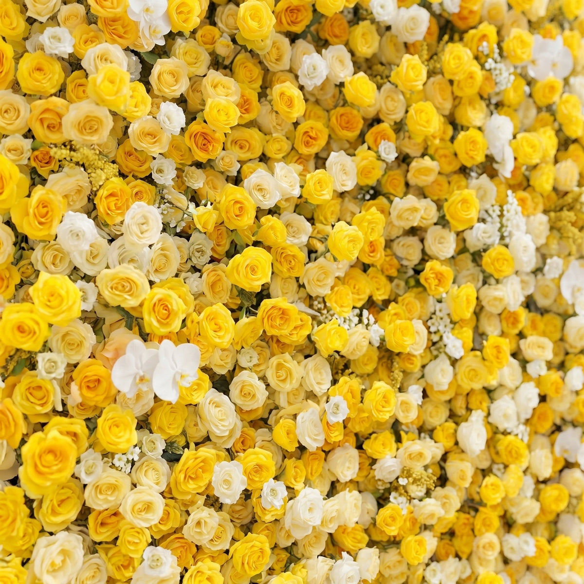 Zorova: Luxury 5D Lemon Yellow & White Silk Floral Wall Backdrop for Vibrant Summer Events Free Shipping