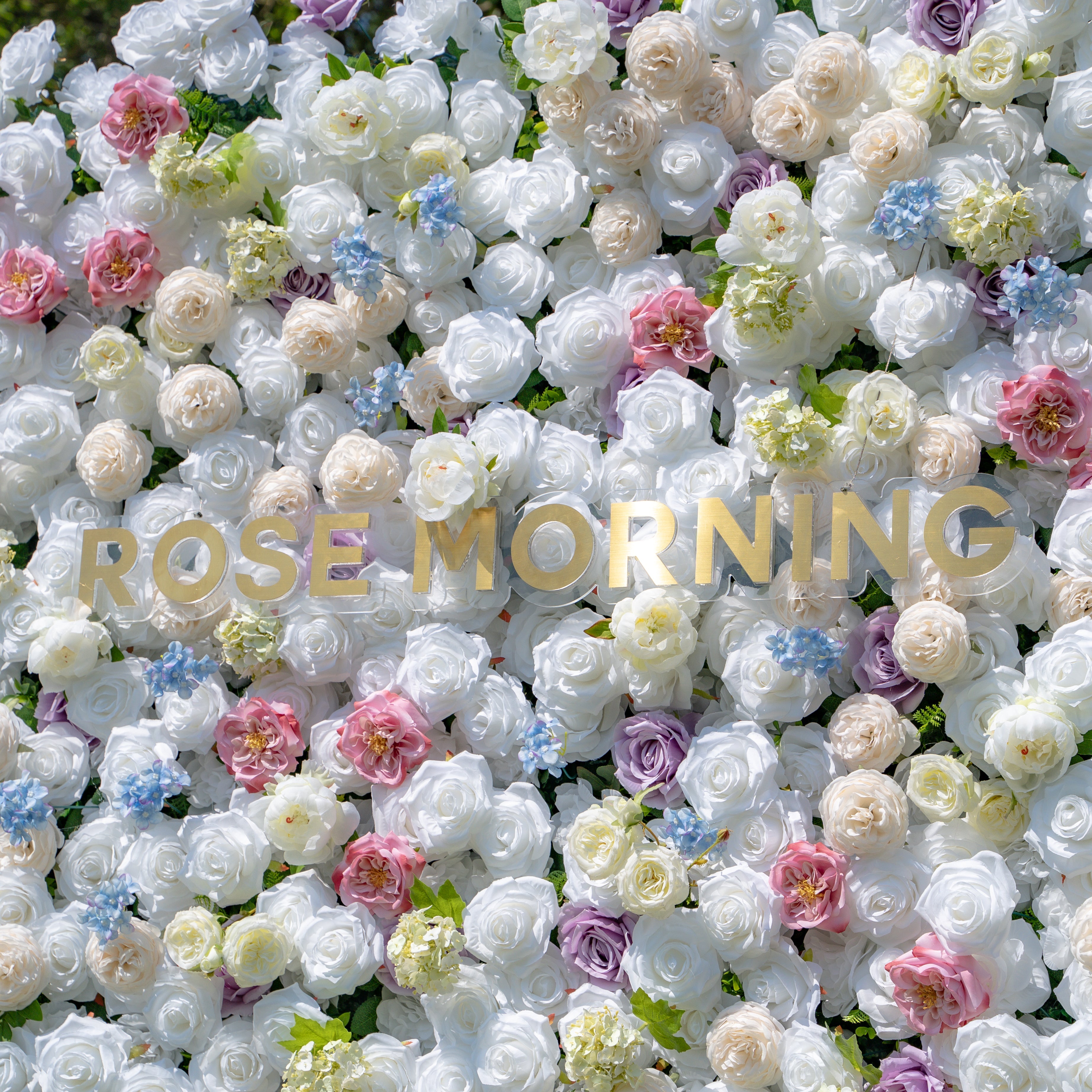 Alison：5D Fabric Artificial rolling up curtain flower wall (Ready to ship) Rose Morning