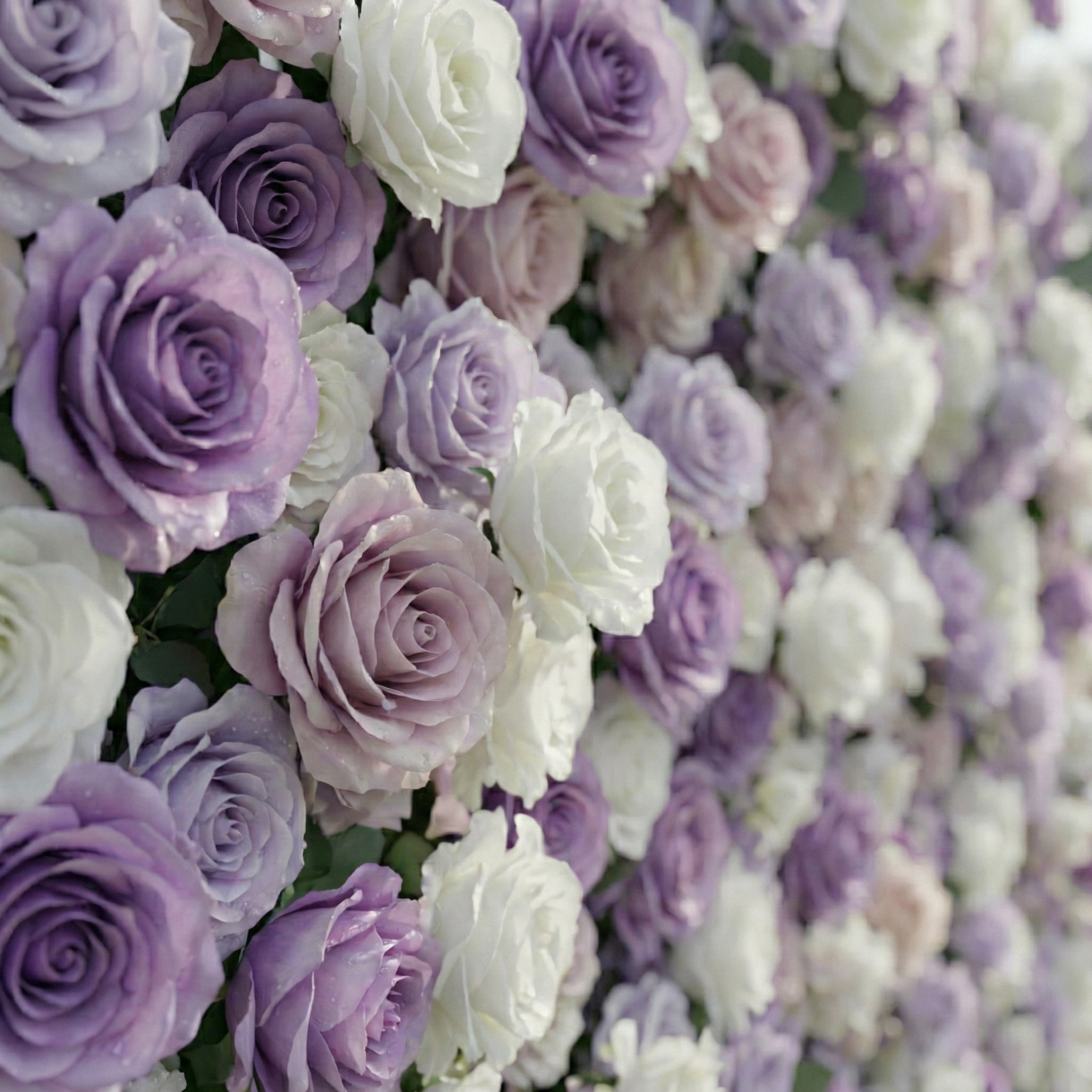 Arden: 5D Luxury Lavender & Cream Silk Floral Wall Roll-Up Fabric Backdrop for Dreamy Weddings & Events Free Shipping