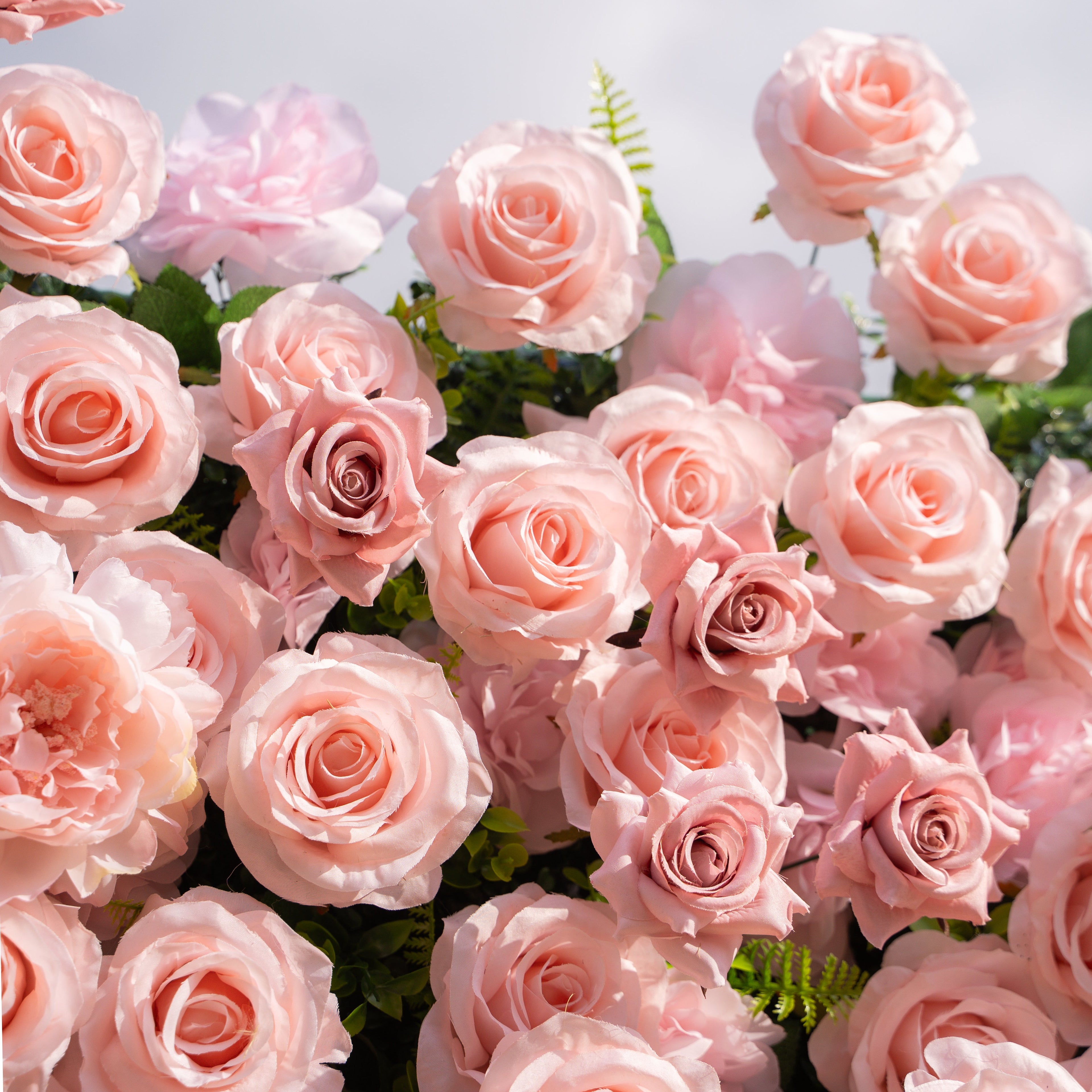 Aurelle: 3D Blush Pink Silk Rose Roll-Up Fabric Flower Wall for Wedding Parties & Events Free Shipping