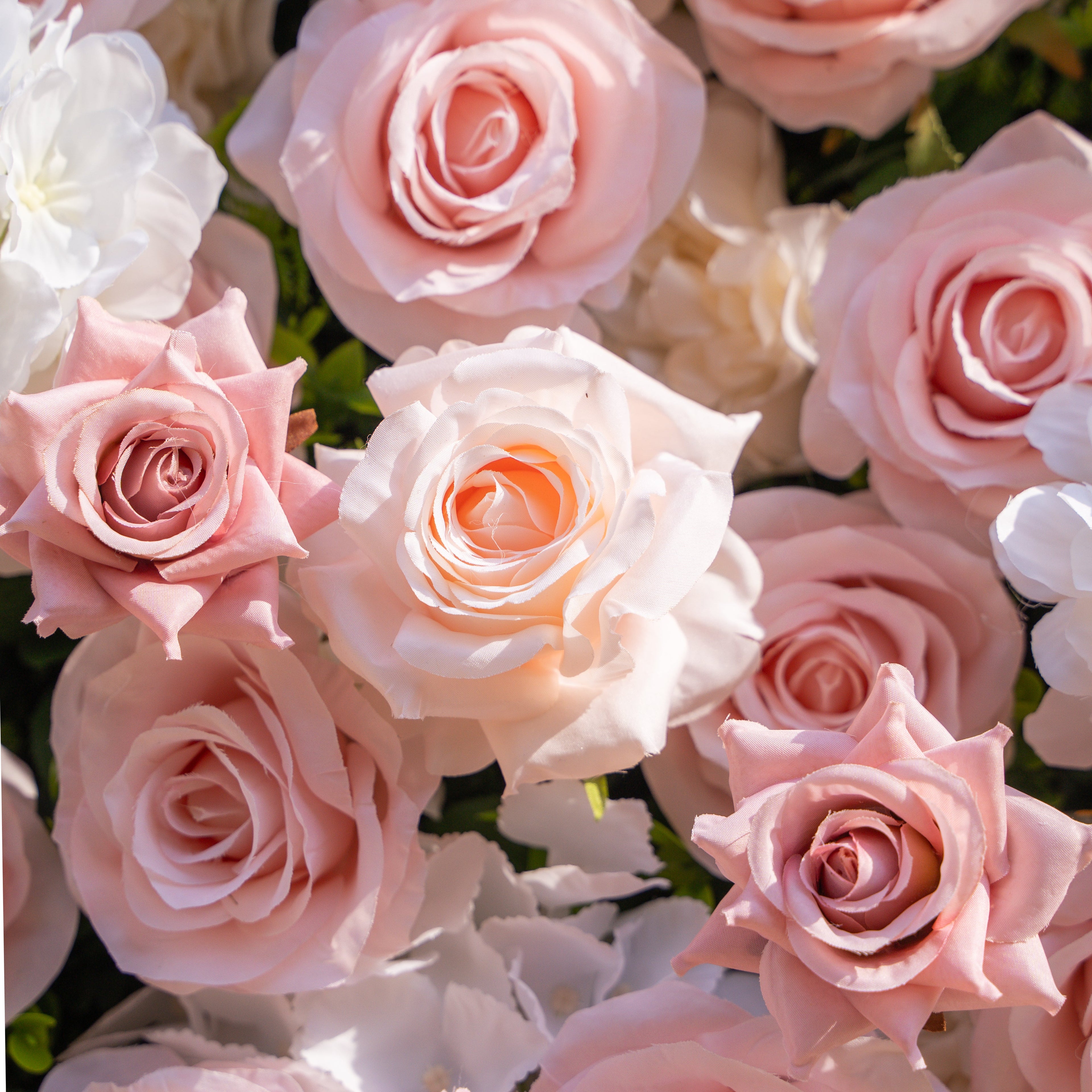 Solara: 3D Elegant Ivory & Blush Rose Silk Flower Wall Curtain for Wedding Ceremony & Events Decor Free Shipping
