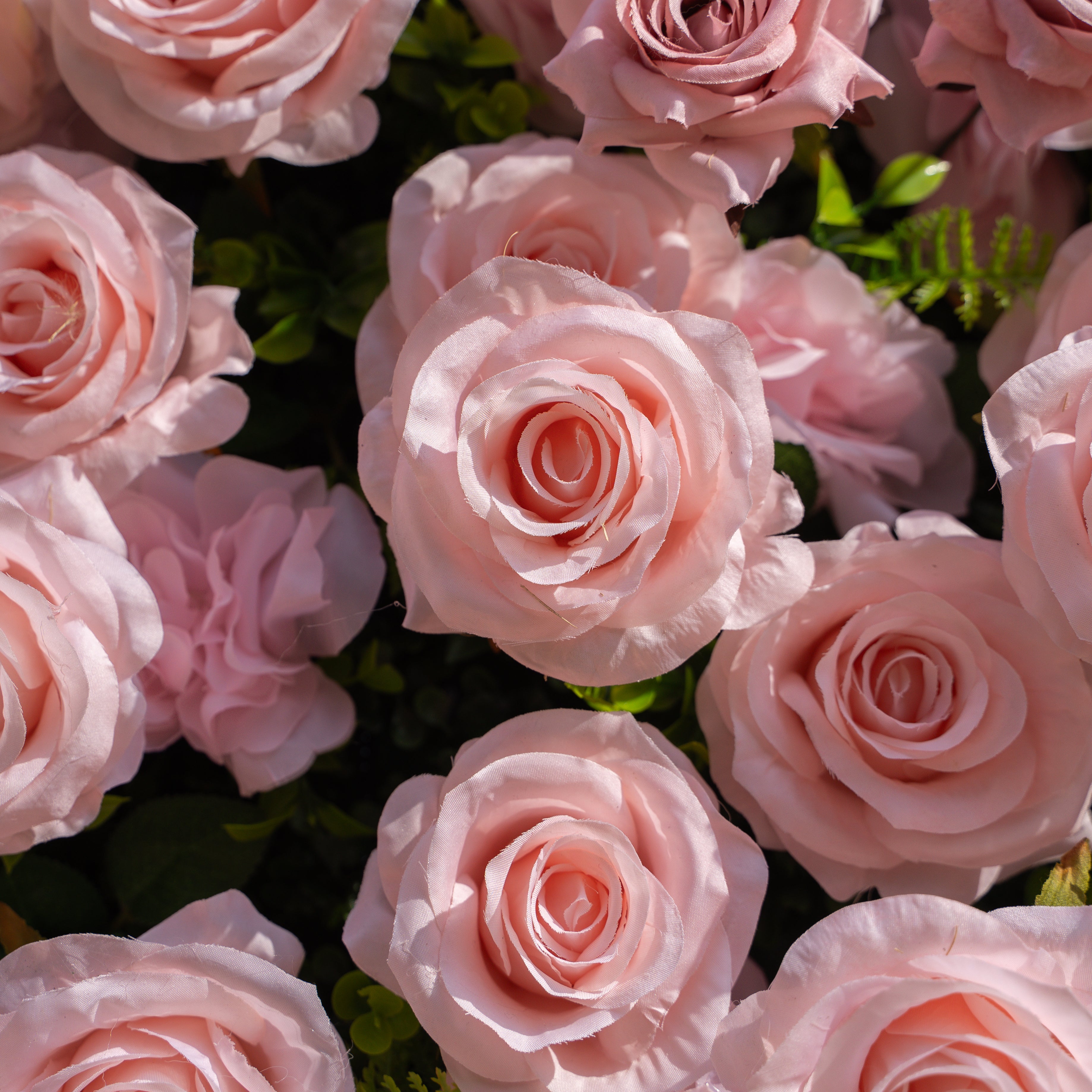 Aurelle: 3D Blush Pink Silk Rose Roll-Up Fabric Flower Wall for Wedding Parties & Events Free Shipping