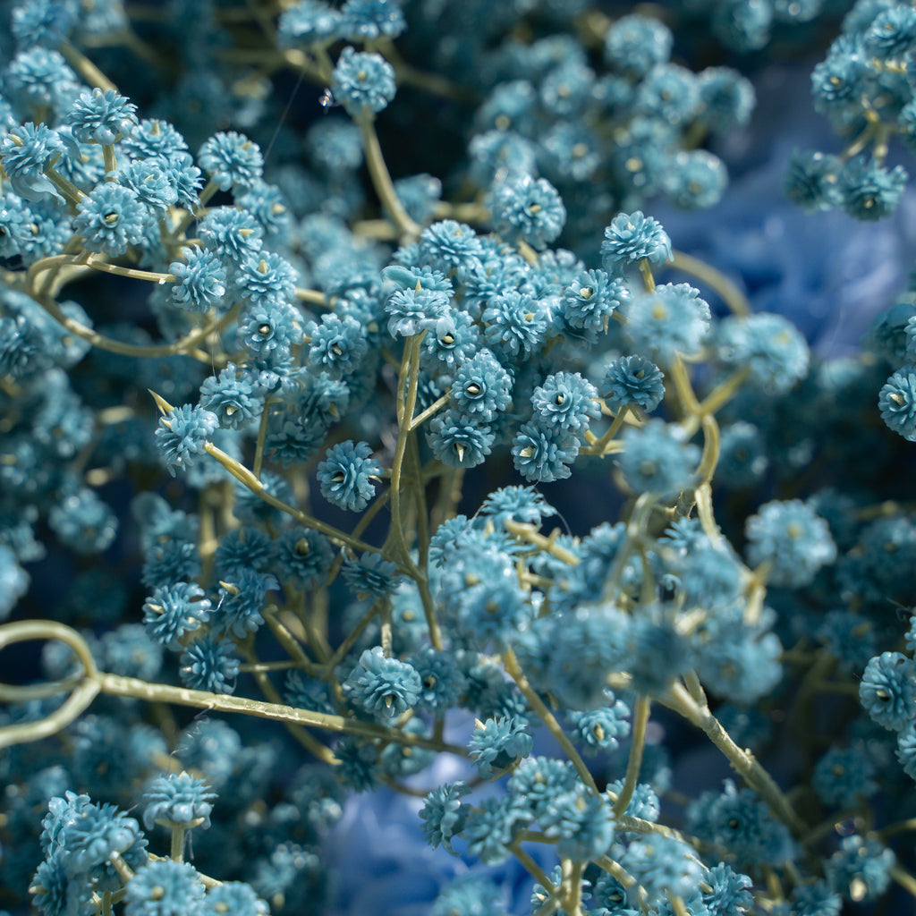 Blue Baby Breath：3D Fabric Artificial rolling up curtain flower wall Free Shipping