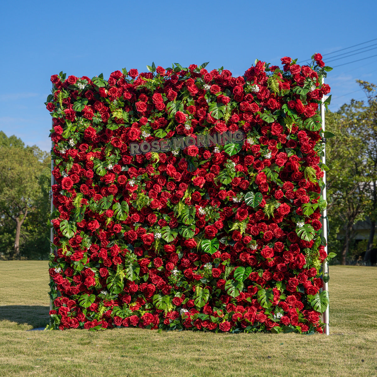 Blanca：5D Fabric Artificial rolling up curtain flower wall Free Shipping