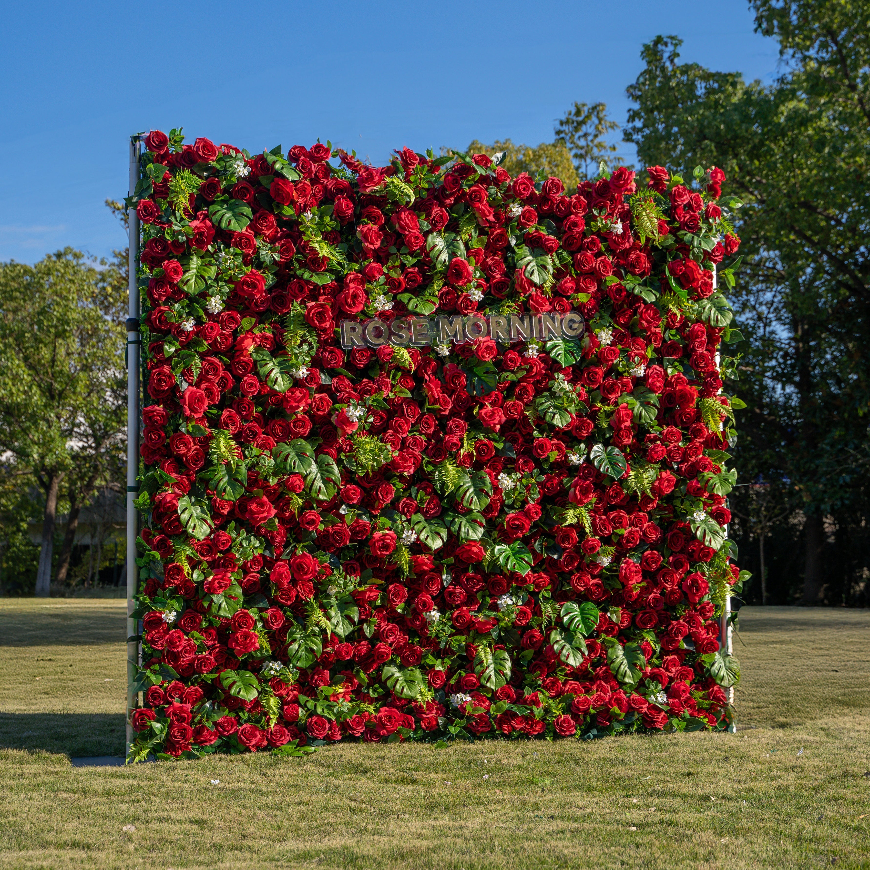 Blanca：5D Fabric Artificial rolling up curtain flower wall Free Shipping