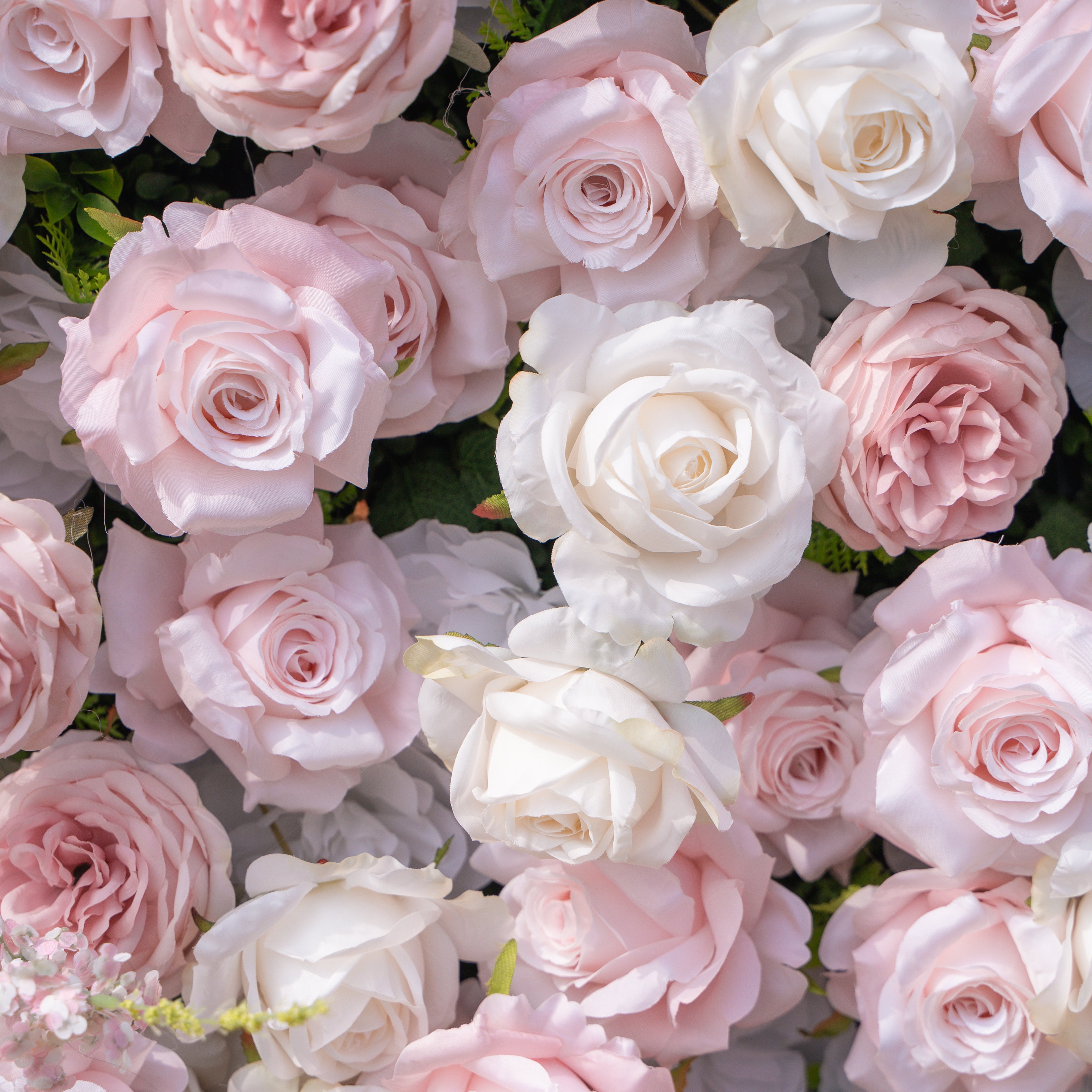 Caius: Luxury 5D Cream & Blush Silk Floral Wall Roll-Up Fabric Backdrop for Dreamy Garden Weddings & Bridal Showers Free Shipping