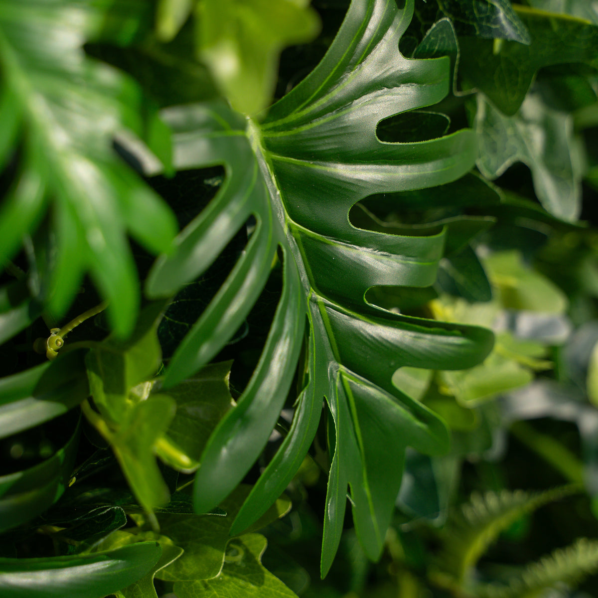 Candor：5D Fabric Artificial rolling up curtain flower wall Free Shipping