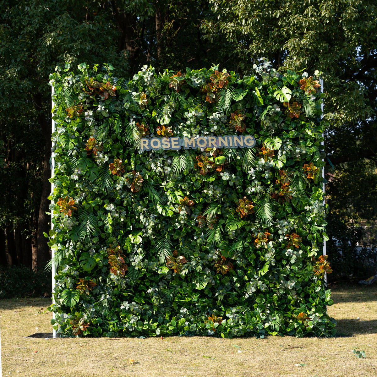 Cassandra：5D Fabric Artificial rolling up curtain flower wall Free Shipping