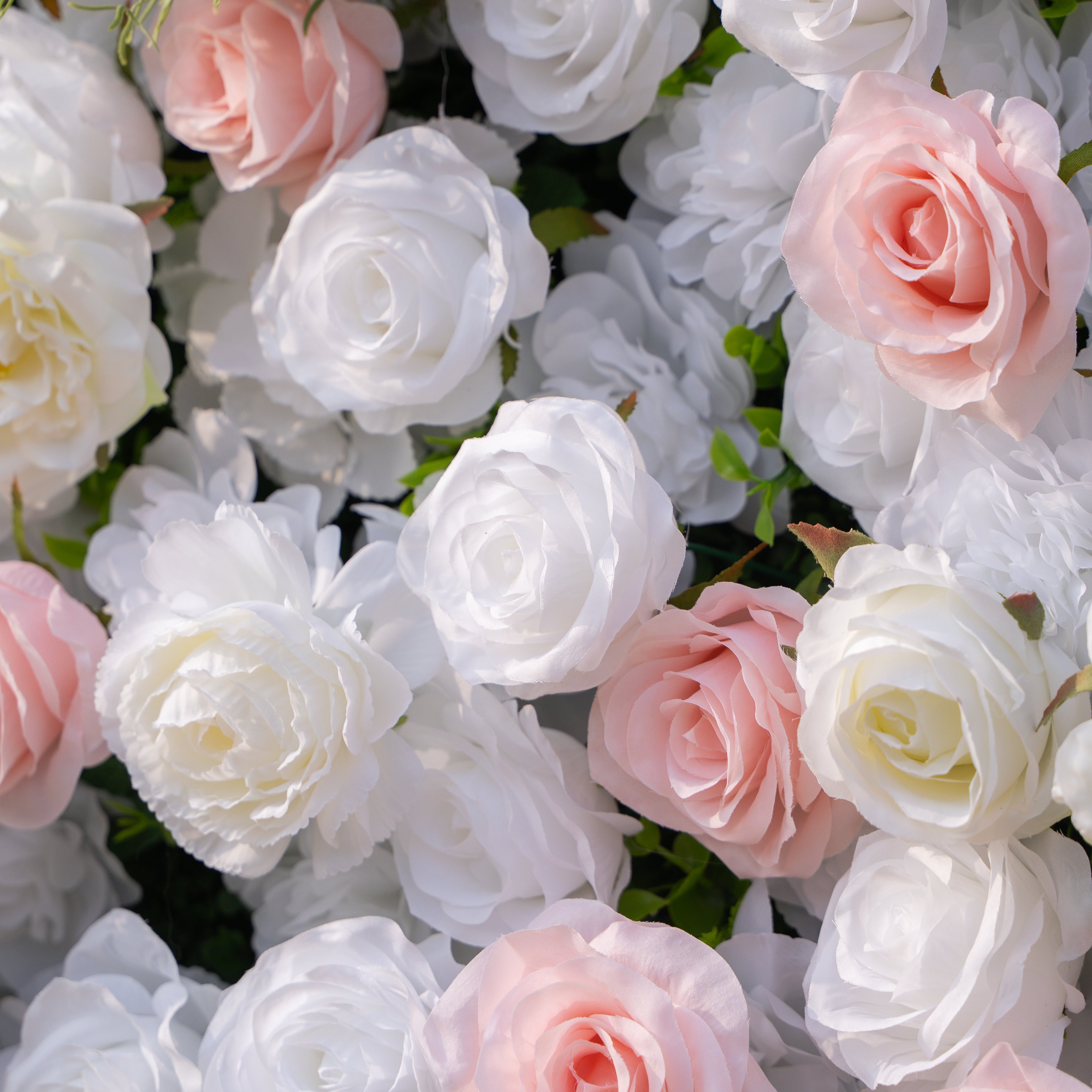 Céline: 3D Elegant White & Blush Pink Silk Rose Flower Wall Roll-Up Fabric Backdrop for Luxury Weddings & Events(In Us Stock & Shipping 5-7 Days) Free Shipping