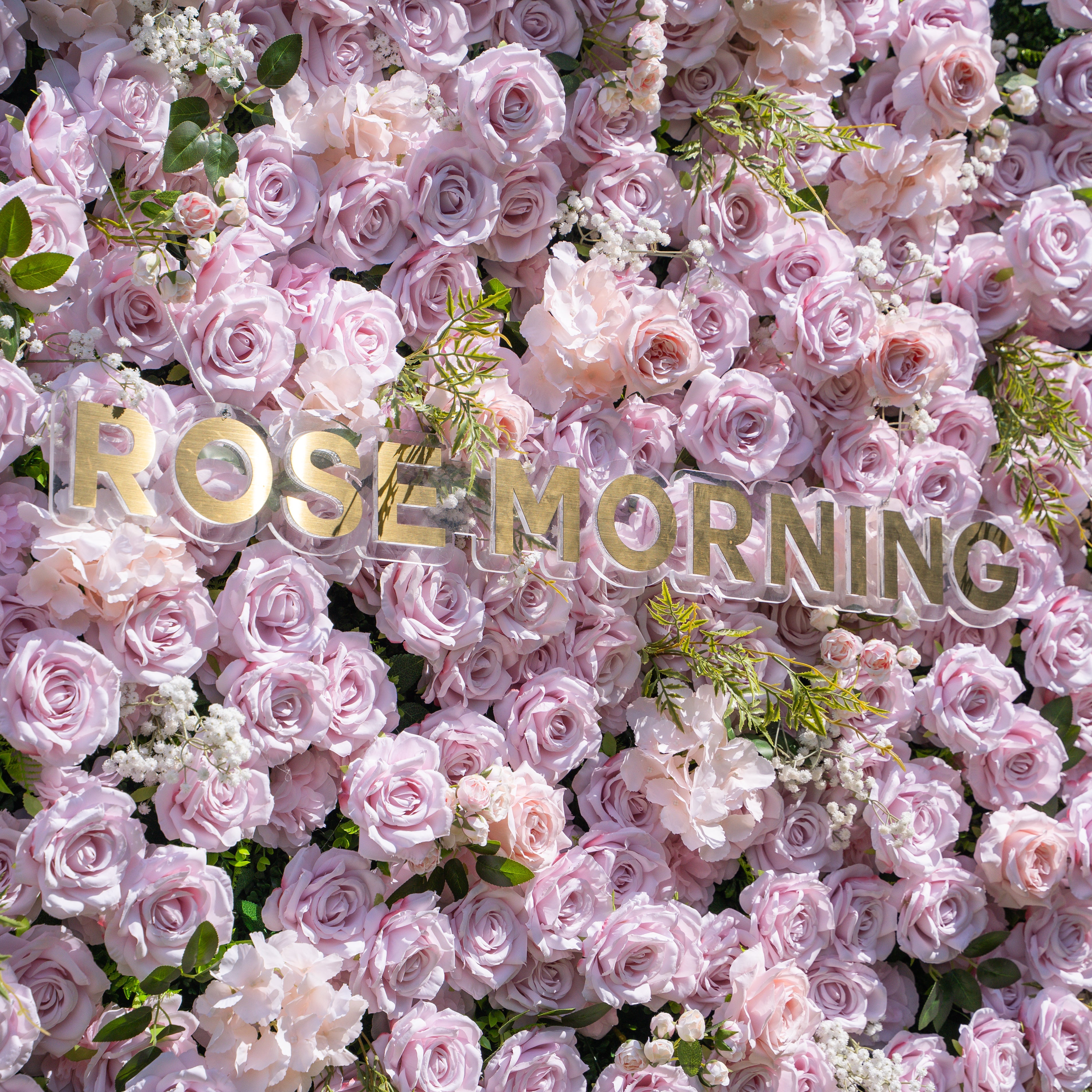 Cori：3D Fabric Artificial rolling up curtain flower wall Free Shipping