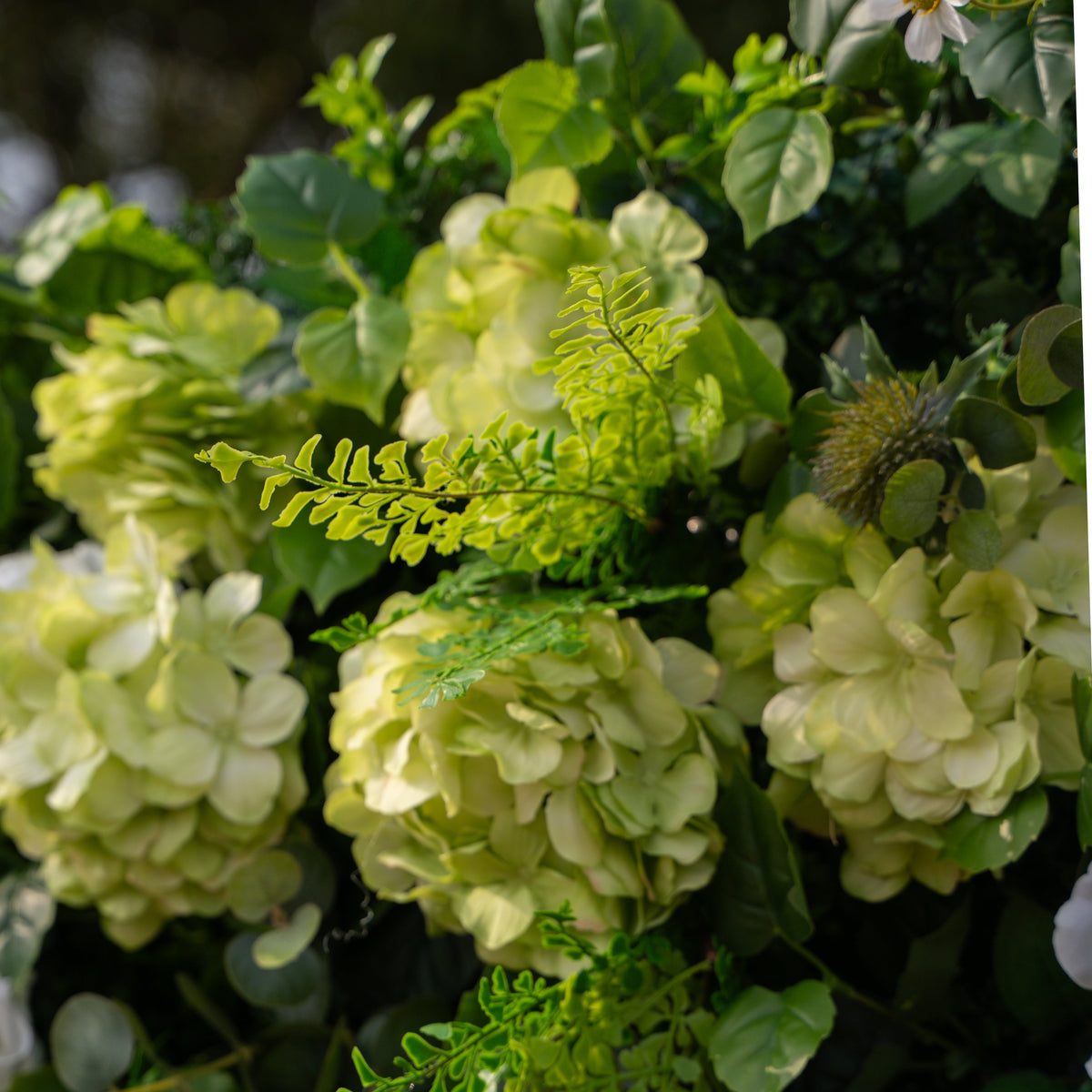 Cressida: 3D Elegant White Silk Rose & Greenery Foliage Wall Roll-Up Fabric Backdrop for Luxury Weddings, Parties & Botanical Decor Free Shipping
