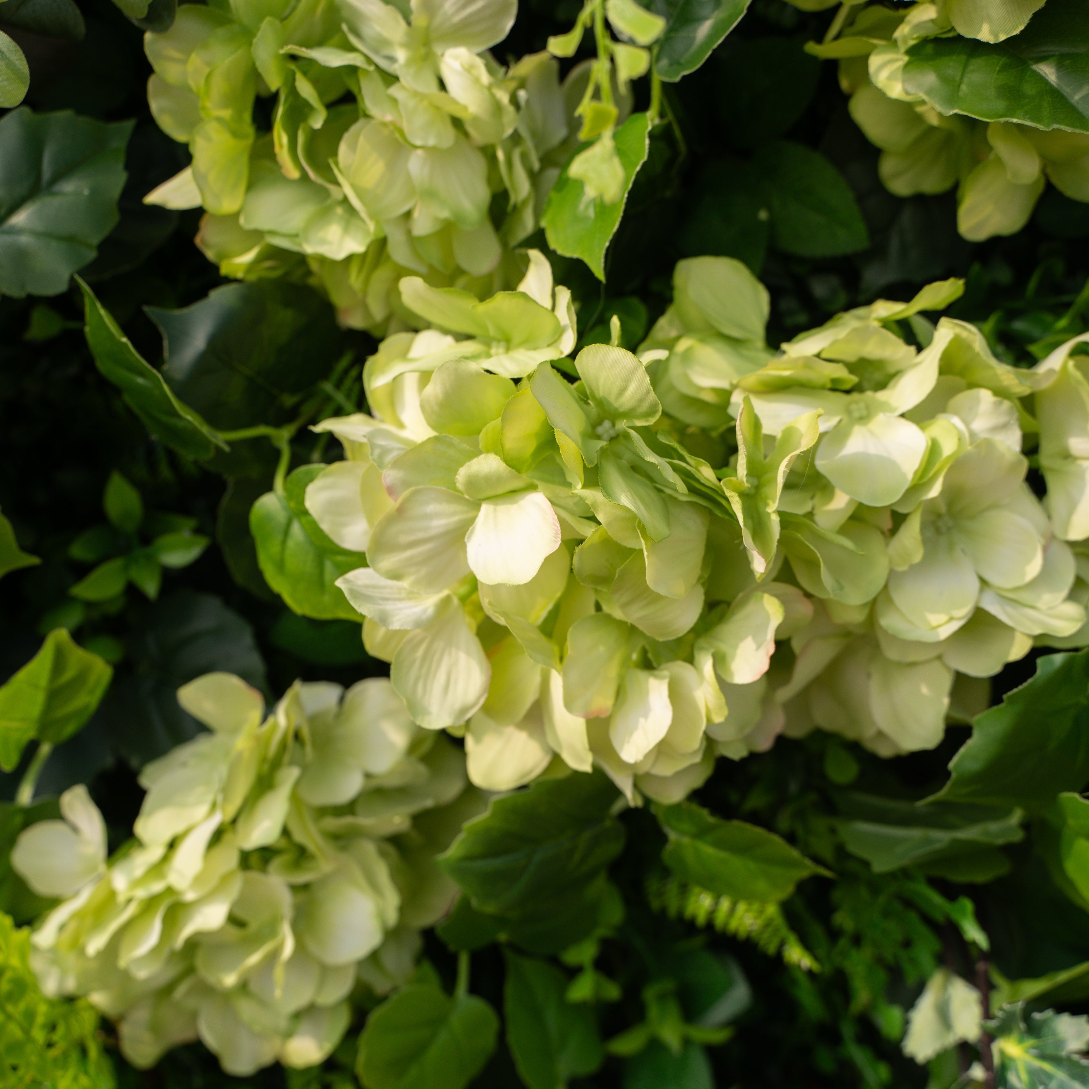 Cressida: 3D Elegant White Silk Rose & Greenery Foliage Wall Roll-Up Fabric Backdrop for Luxury Weddings, Parties & Botanical Decor Free Shipping
