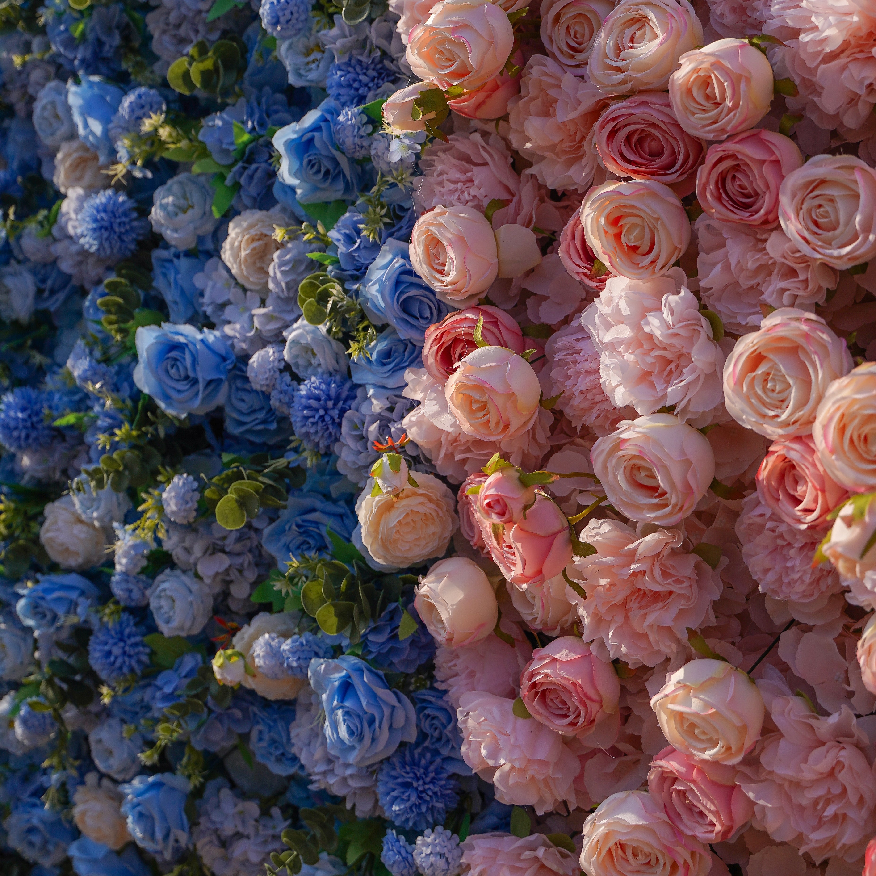 Cyan：5D 2023 Fabric Artificial rolling up curtain flower wall Rose Morning