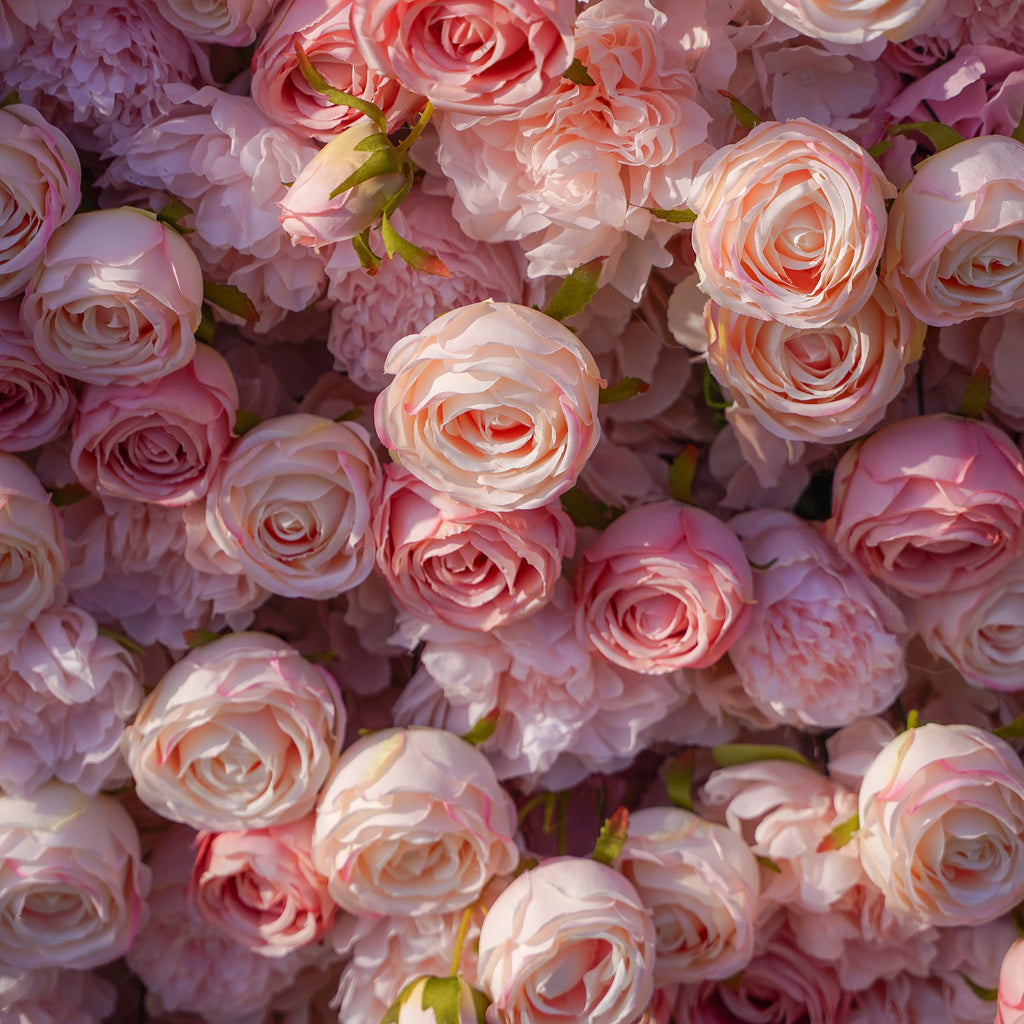 Cyan：5D 2023 Fabric Artificial rolling up curtain flower wall Rose Morning
