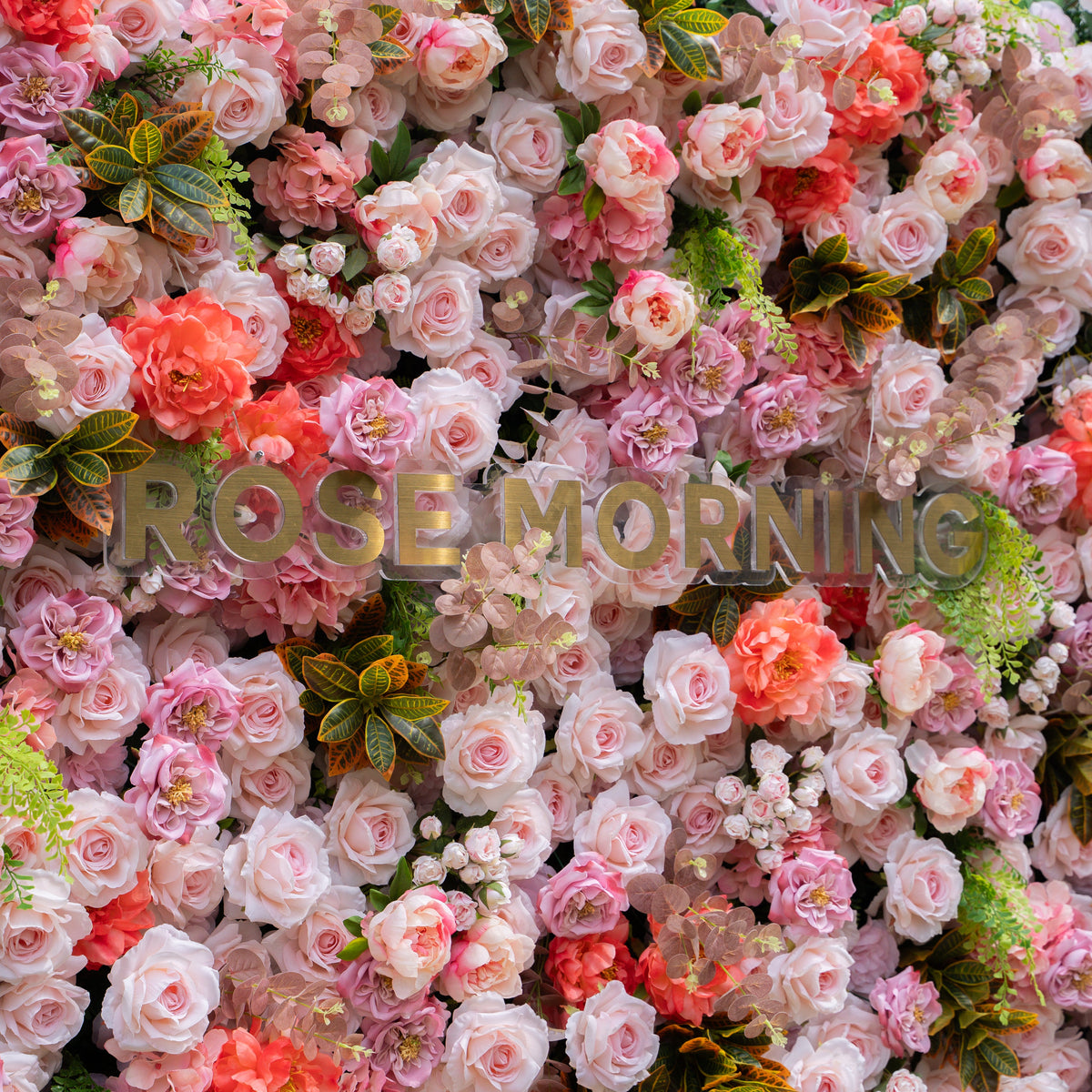 Daniela ：5D Fabric Artificial rolling up curtain flower wall Free Shipping