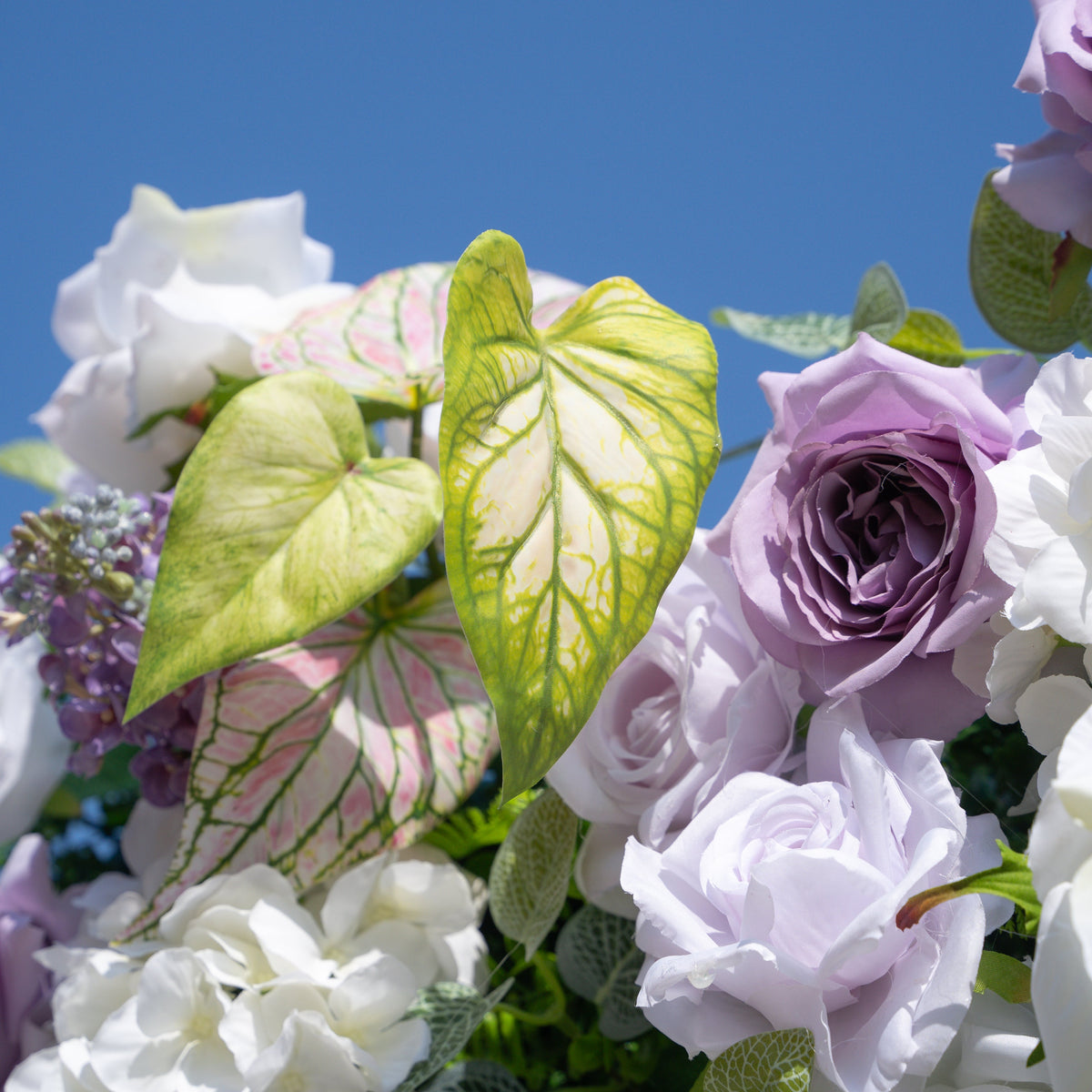 Danielle：5D Fabric Artificial rolling up curtain flower wall Free Shipping