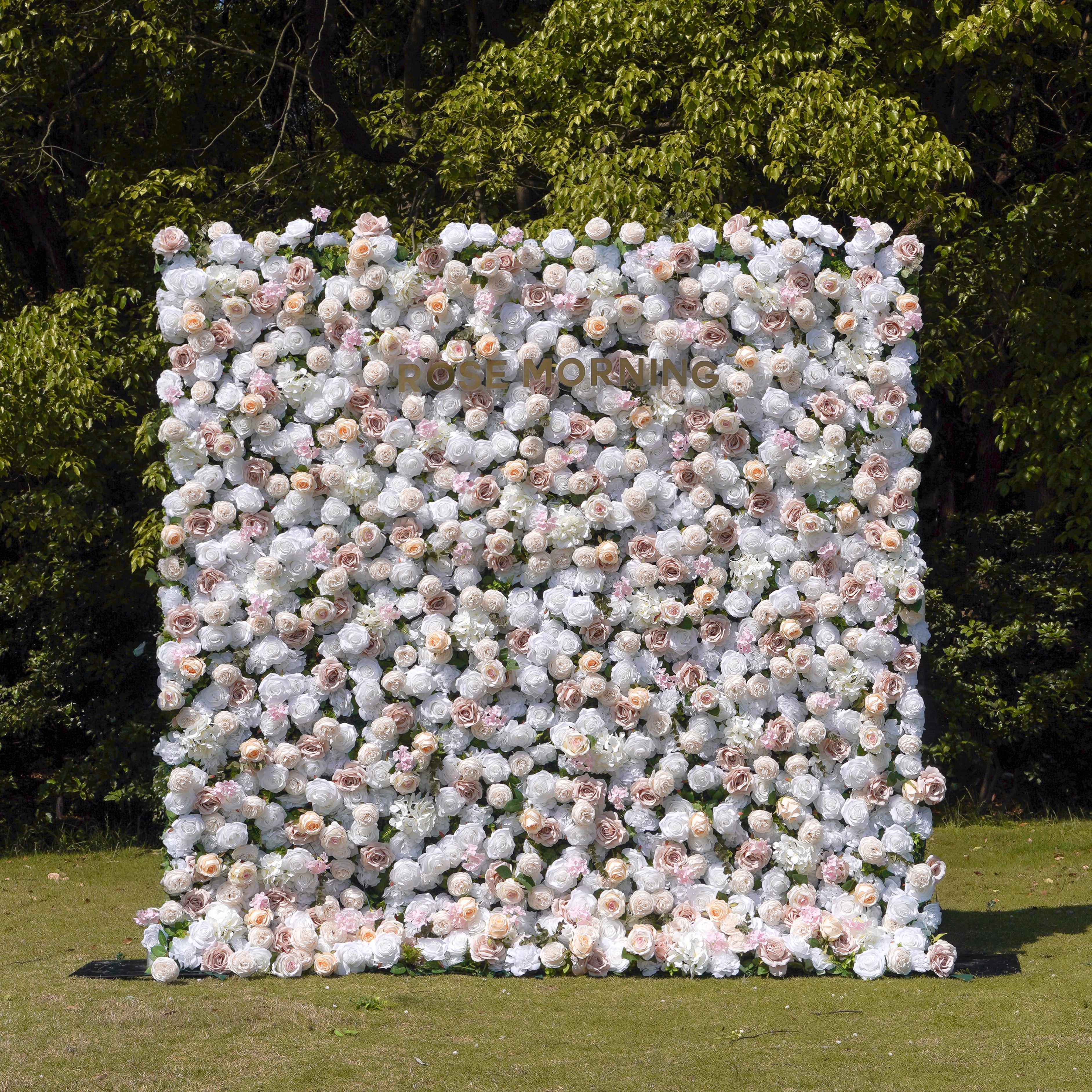 Elain：5D Fabric Artificial rolling up curtain flower wall Rose Morning