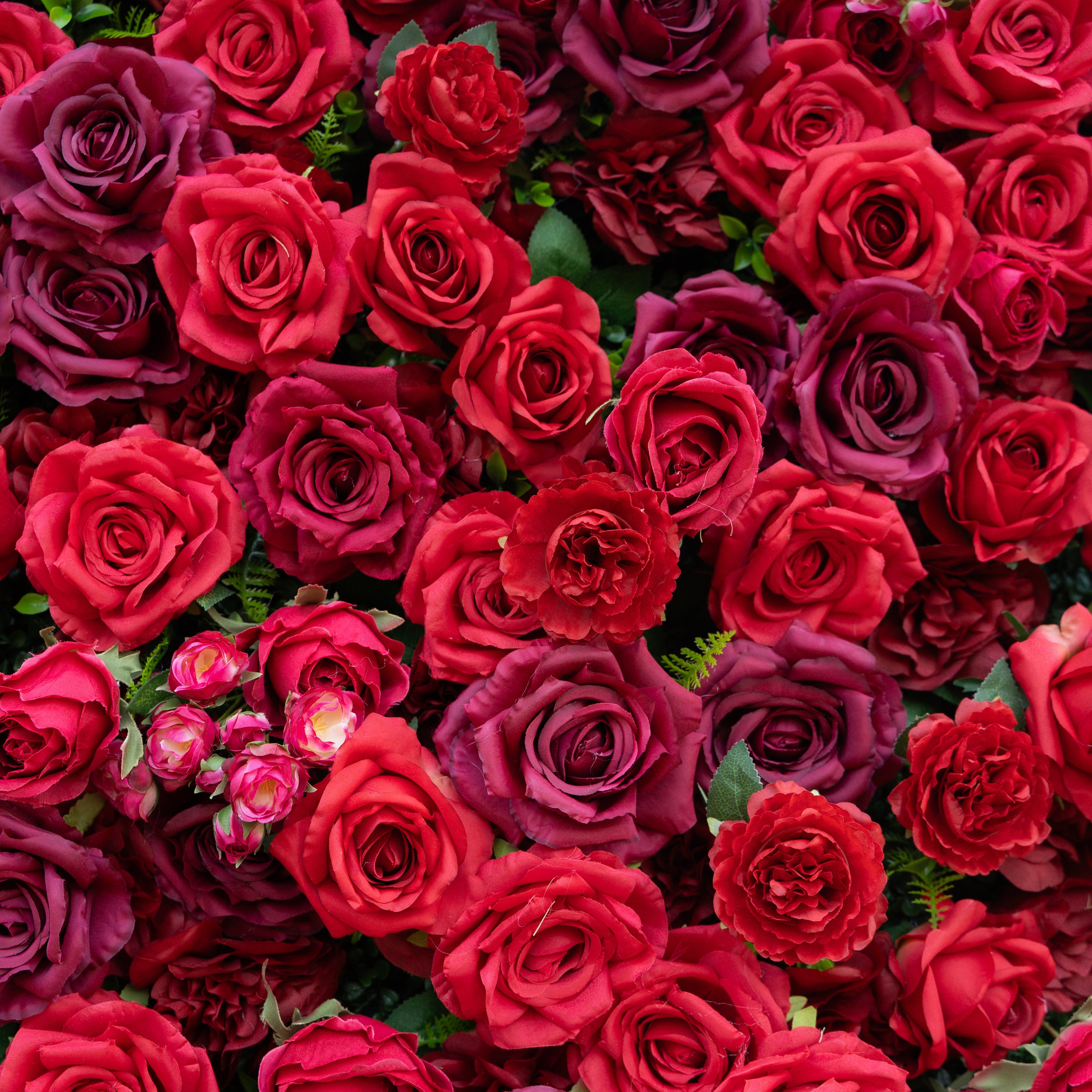 Elysia: 3D Luxury Burgundy Silk Rose Flower Wall Roll-Up Fabric Backdrop for Romantic Weddings & Events Free Shipping