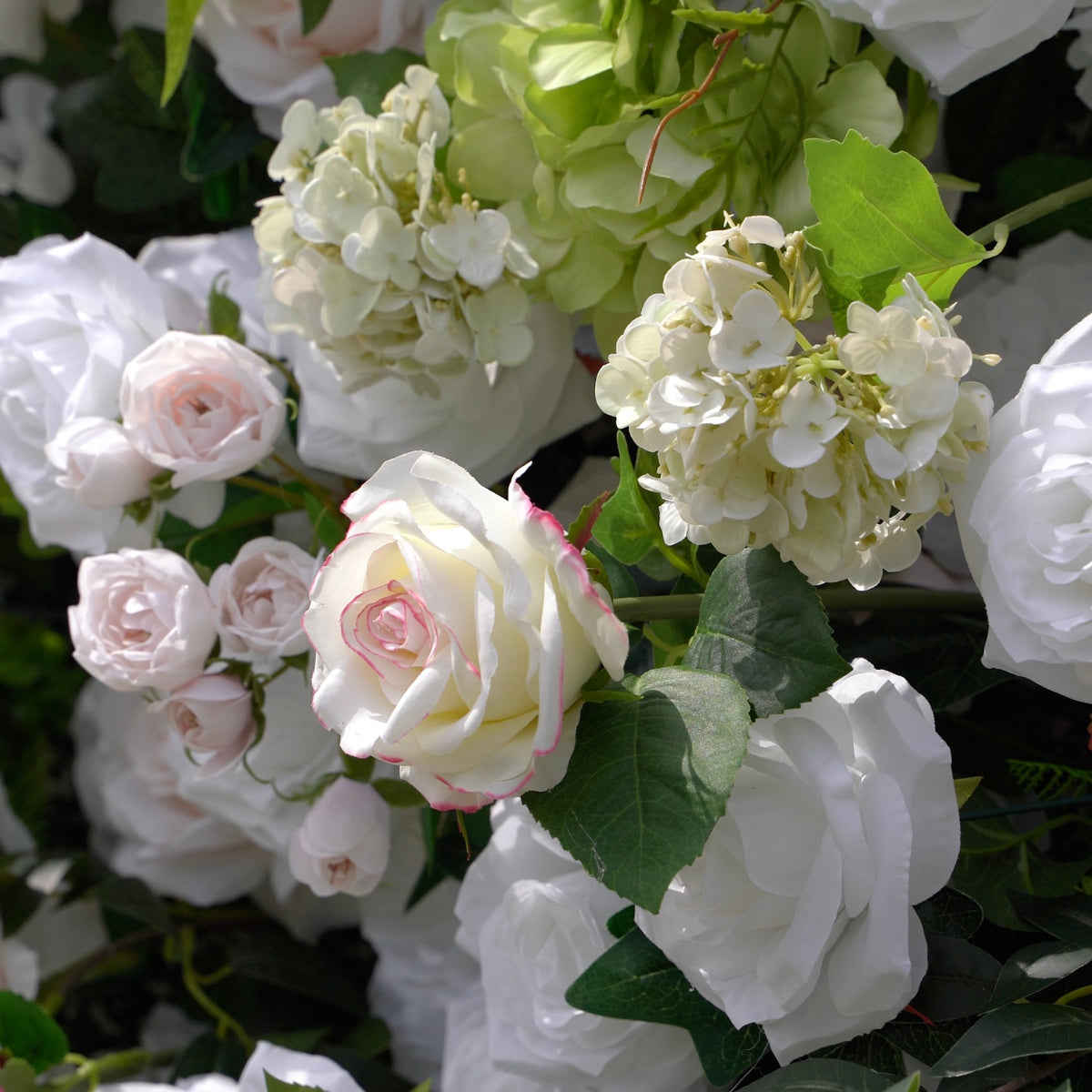 Evie：5D Fabric Artificial rolling up curtain flower wall Rose Morning