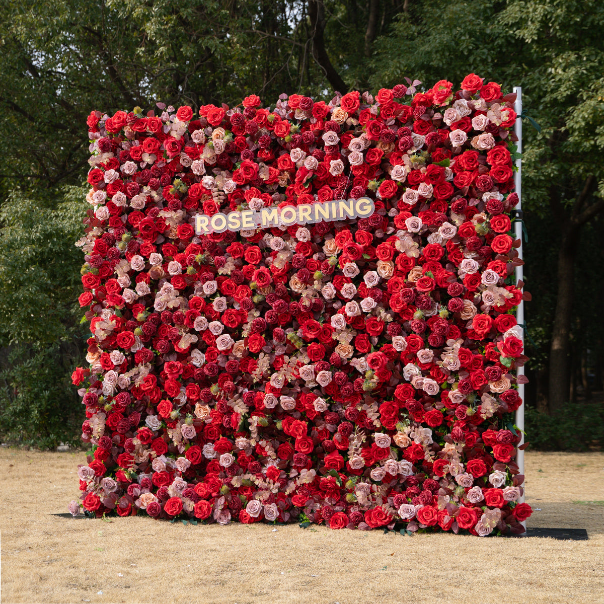 Grazie - Autumn Fall 5D Fabric Roll Up Flower Wall for Wedding Party Event Backdrop Free Shipping