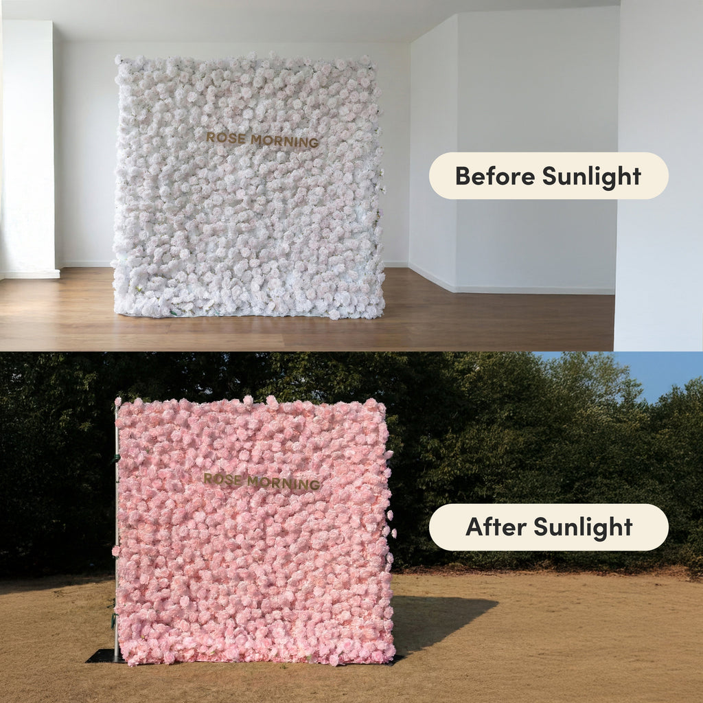 Hadas：2026 New Launch Sun-Activated Color-Changing Rose Flower Wall Backdrop (8×8) — One Wall, Two Looks: White Indoors → Blush Pink in Sunlight Free Shipping