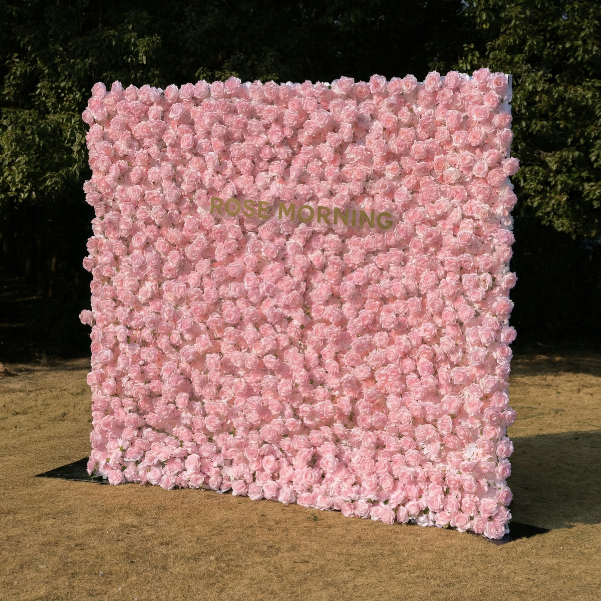 Hadas：2026 New Launch Sun-Activated Color-Changing Rose Flower Wall Backdrop (8×8) — One Wall, Two Looks: White Indoors → Blush Pink in Sunlight Free Shipping