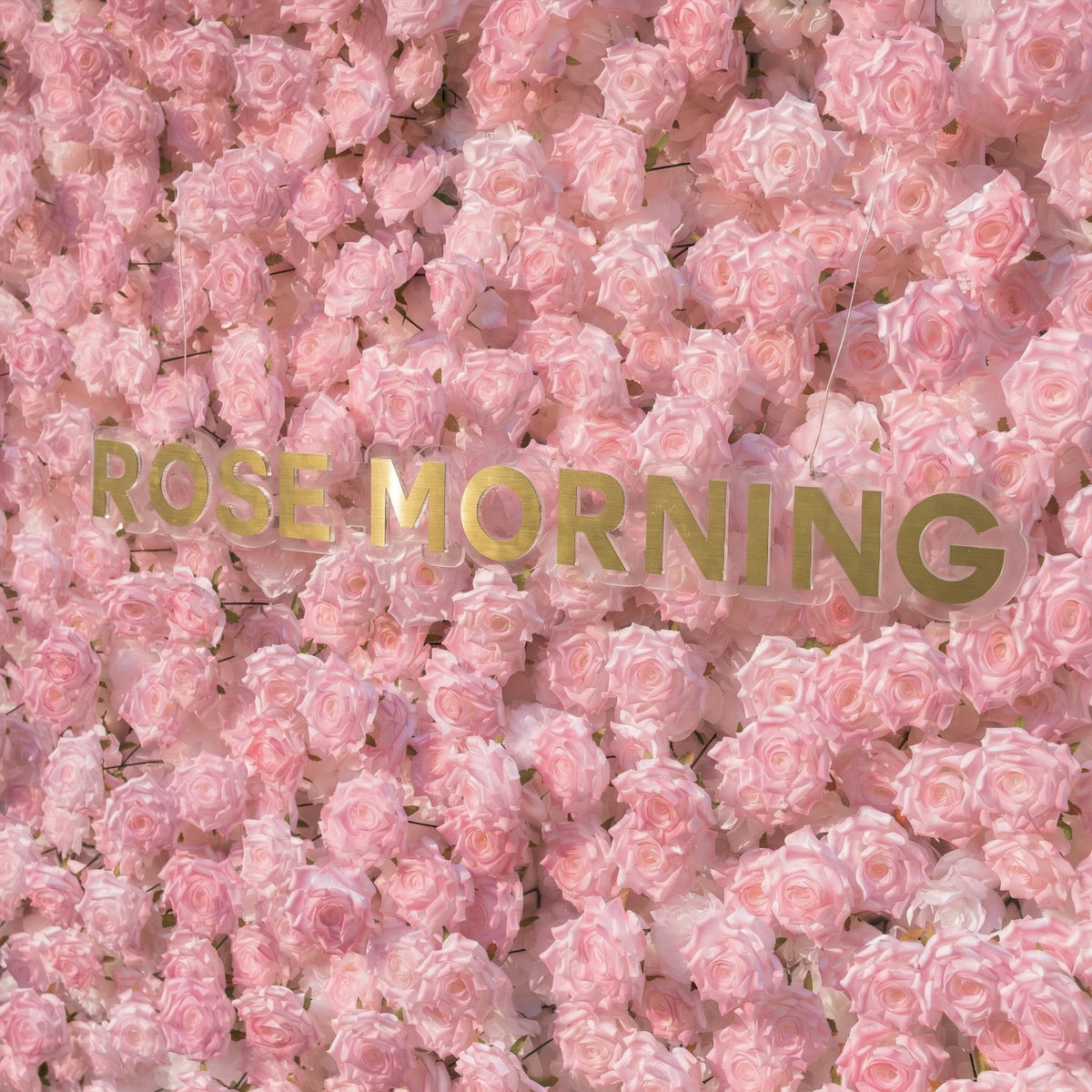 Hadas：2026 New Launch Sun-Activated Color-Changing Rose Flower Wall Backdrop (8×8) — One Wall, Two Looks: White Indoors → Blush Pink in Sunlight Free Shipping
