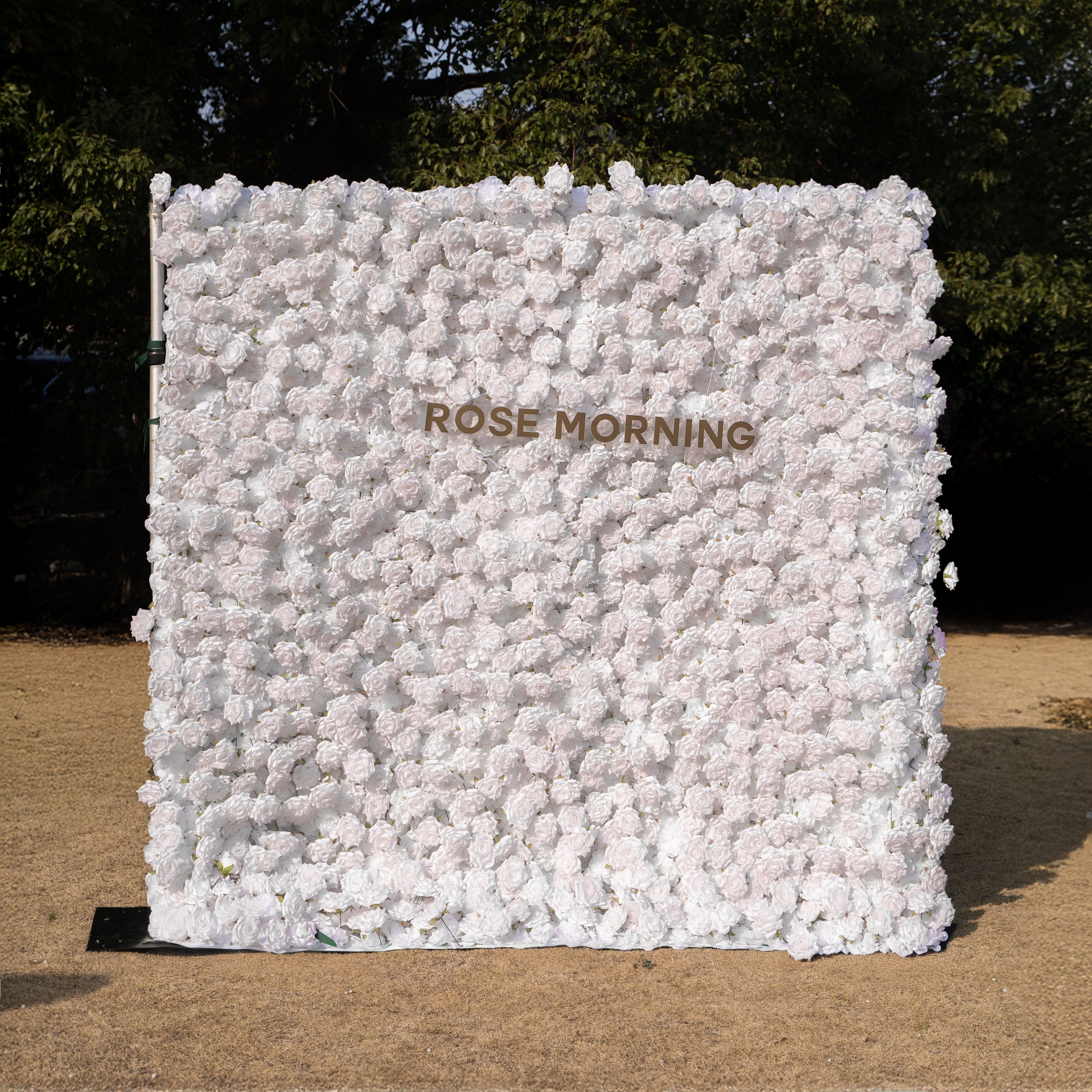 Hadas：2026 New Launch Sun-Activated Color-Changing Rose Flower Wall Backdrop (8×8) — One Wall, Two Looks: White Indoors → Blush Pink in Sunlight Free Shipping
