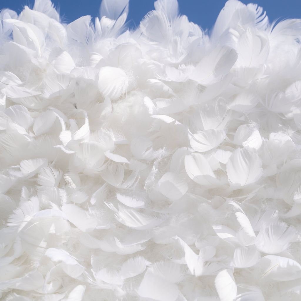 Hilton： Pure White Feather Flower Wall - 5D Fabric Backdrop for Wedding Birthday Party Event Decoration Free Shipping