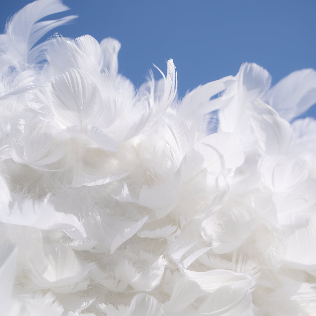 Hilton： Pure White Feather Flower Wall - 5D Fabric Backdrop for Wedding Birthday Party Event Decoration Free Shipping