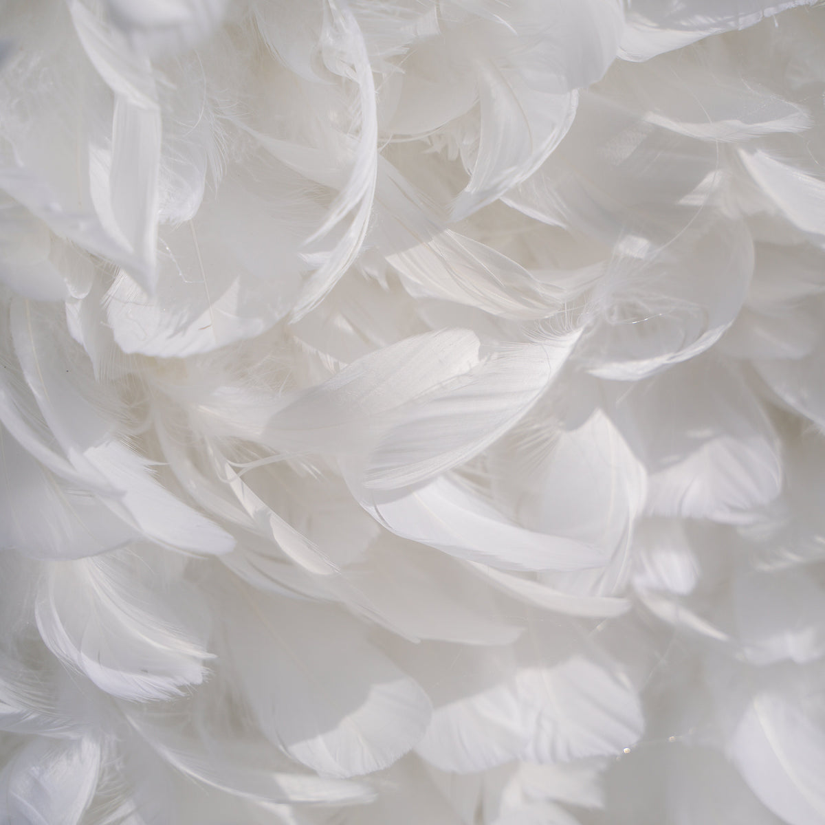 Hilton： Pure White Feather Flower Wall - 5D Fabric Backdrop for Wedding Birthday Party Event Decoration Free Shipping