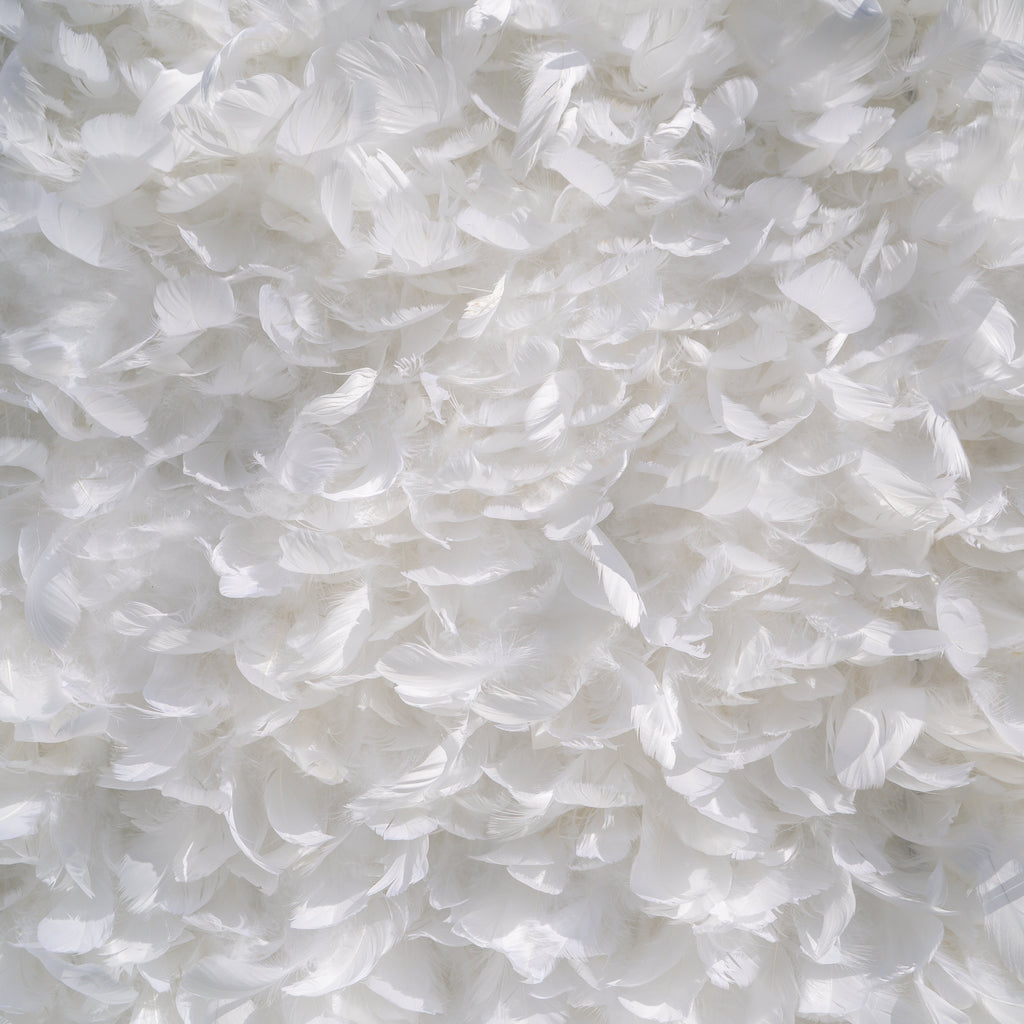 Hilton： Pure White Feather Flower Wall - 5D Fabric Backdrop for Wedding Birthday Party Event Decoration Free Shipping