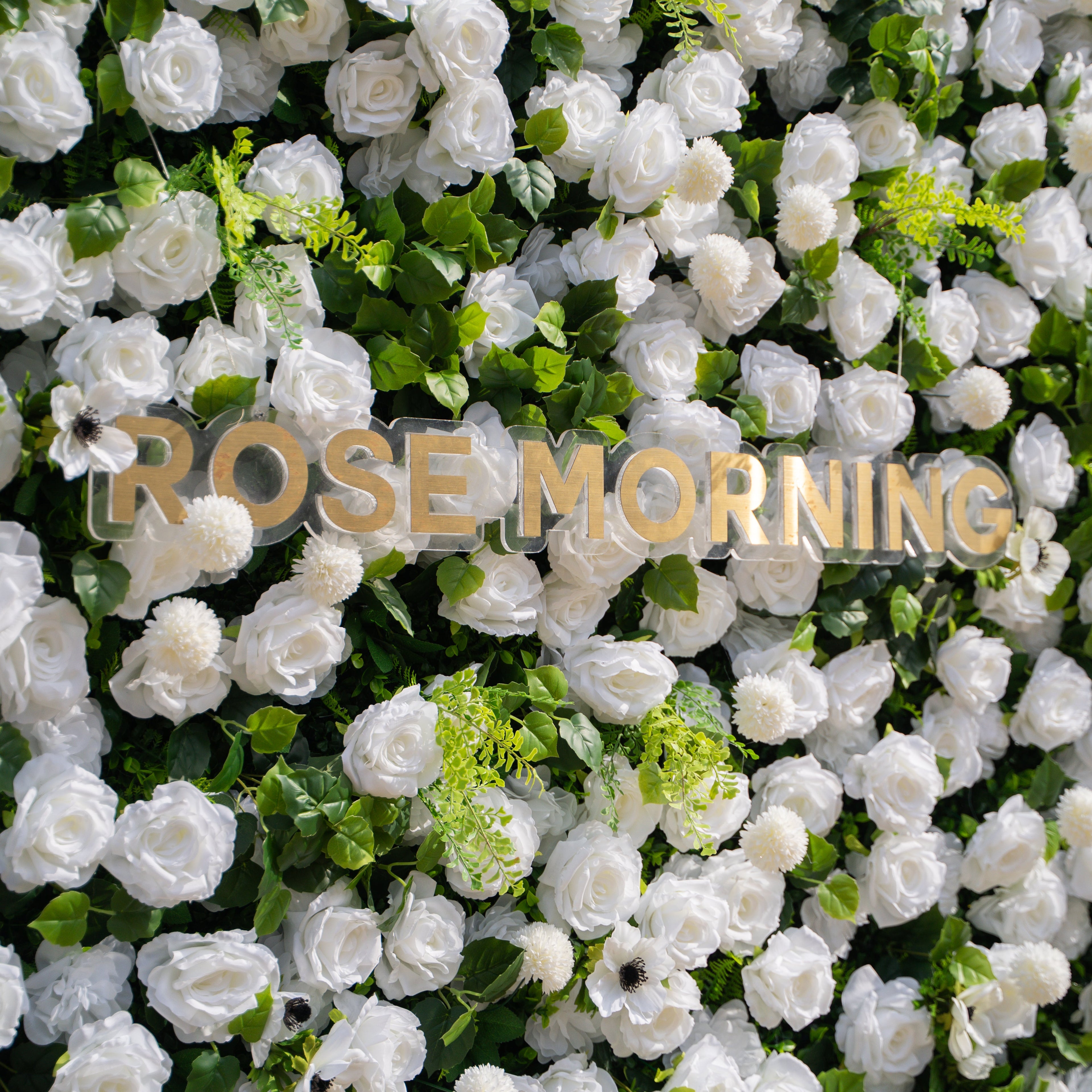Liora: 3D White Rose & Greenery Roll-Up Curtain Artificial Floral Wall for Garden Wedding & Party Decor Free Shipping