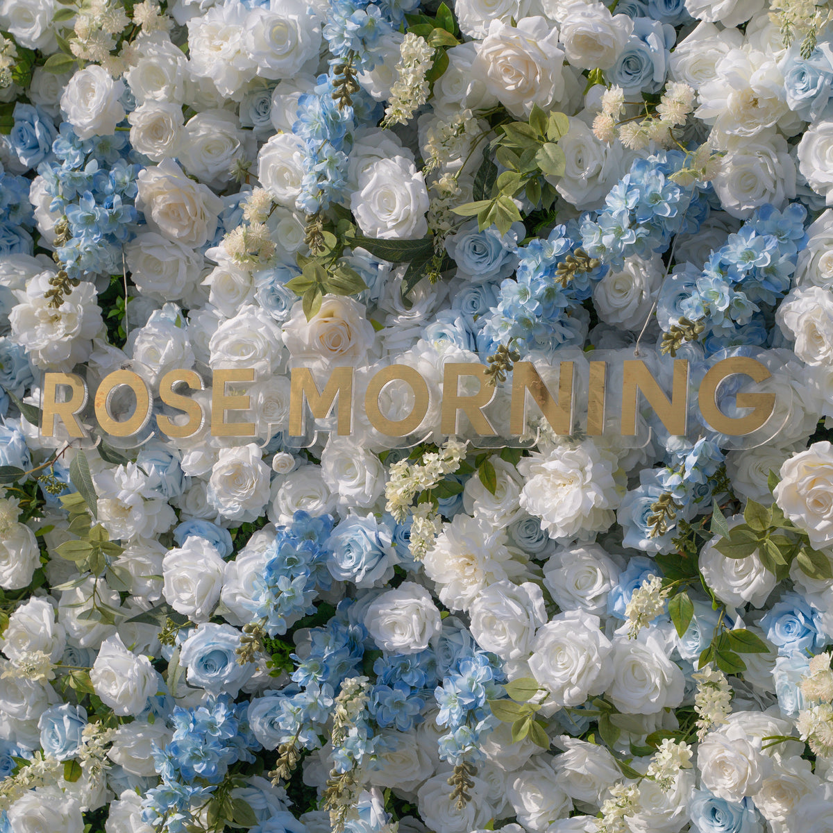 Loira ：Limited Custom Release Blue–white gradient Photogenic Full-bloom texture 8ft*8ft Free Shipping