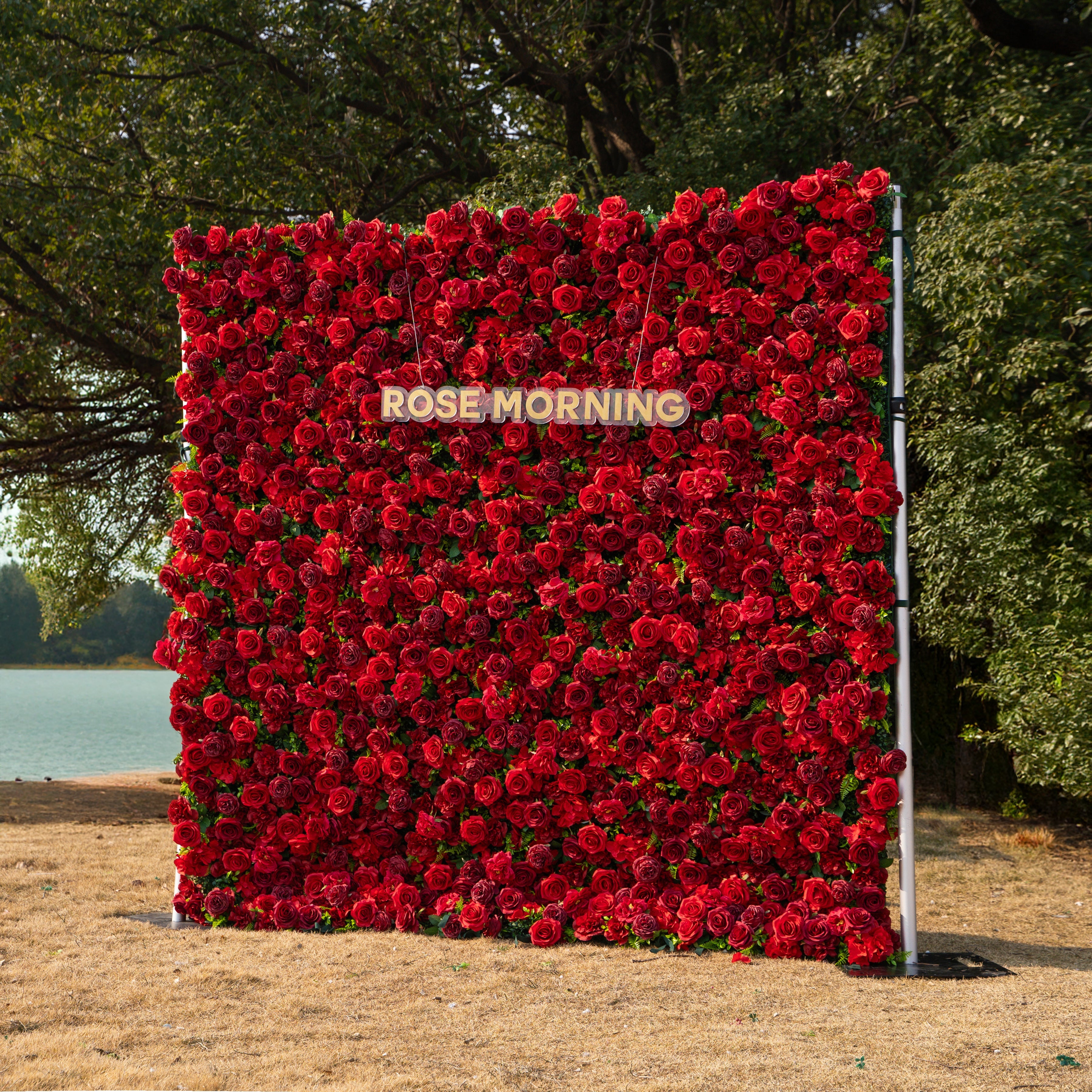 Valentine’s Special: The Luna Package of Dreamy Flower Wall & Arch for the Perfect Proposal&Wedding Free Shipping