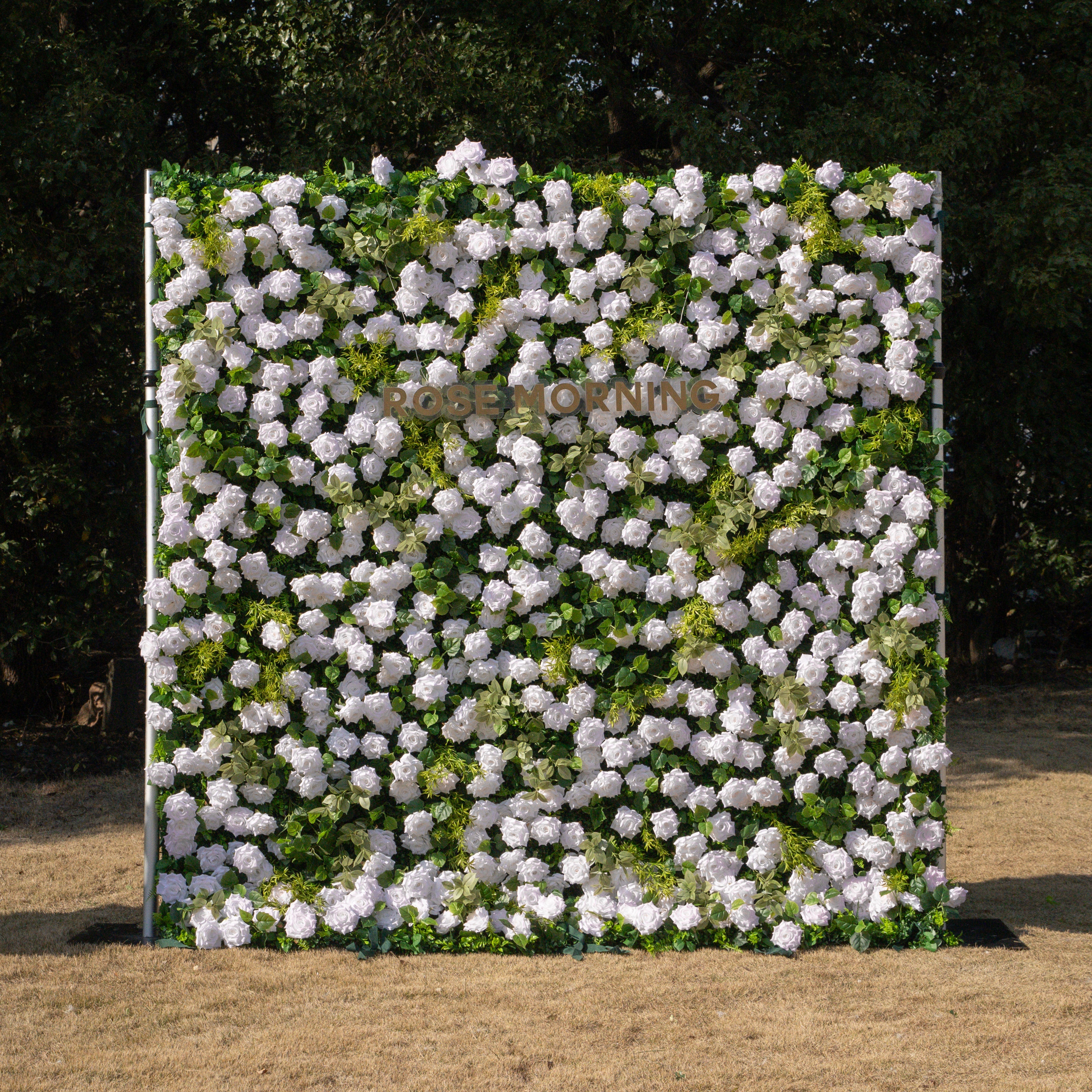 Magica：2026 New Launch-Sun-Activated Color-Changing Rose Flower Wall Backdrop (8×8) — One Wall, Two Looks: White Indoors → Blush Pink in Sunlight Free Shipping