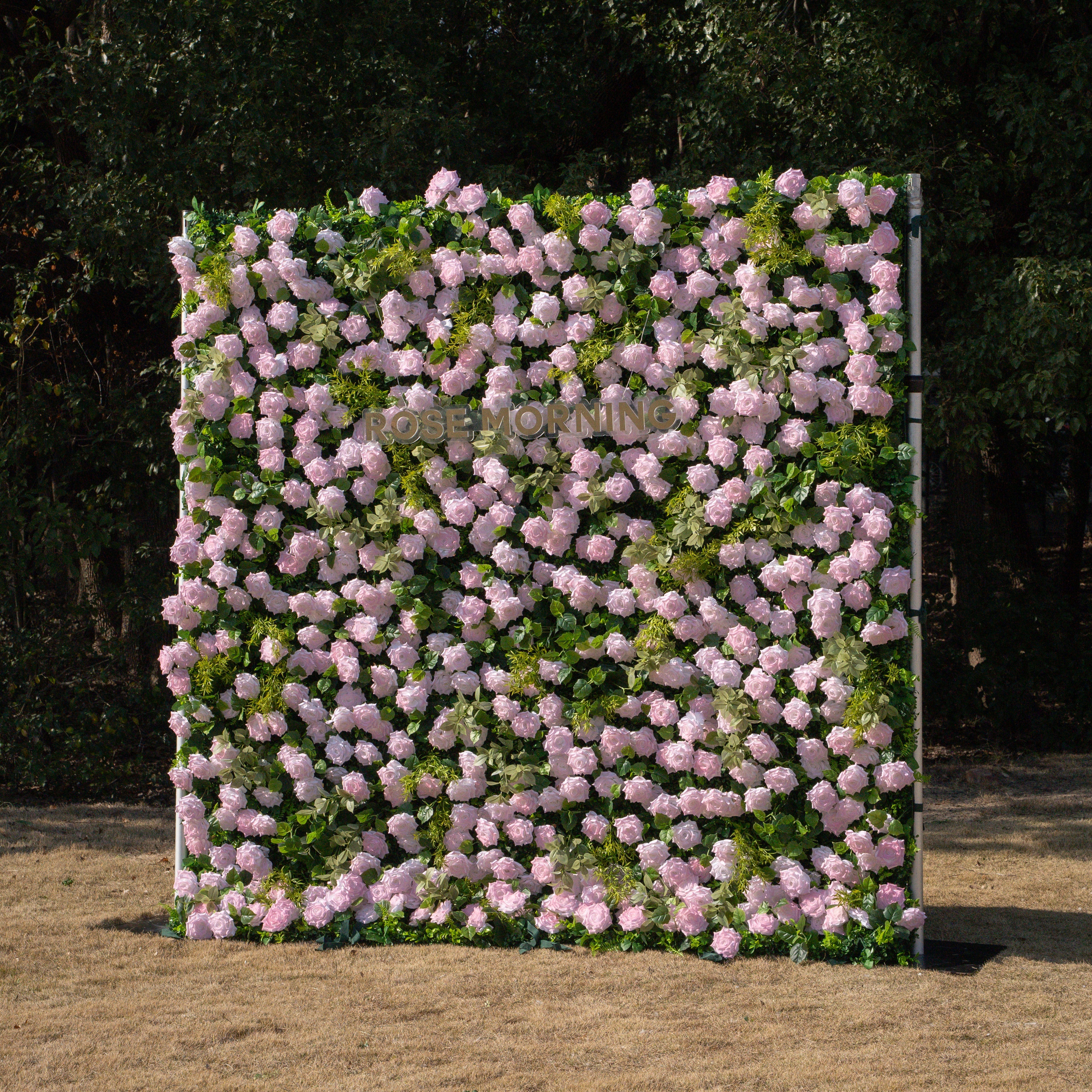 Magica：2026 New Launch-Sun-Activated Color-Changing Rose Flower Wall Backdrop (8×8) — One Wall, Two Looks: White Indoors → Blush Pink in Sunlight Free Shipping