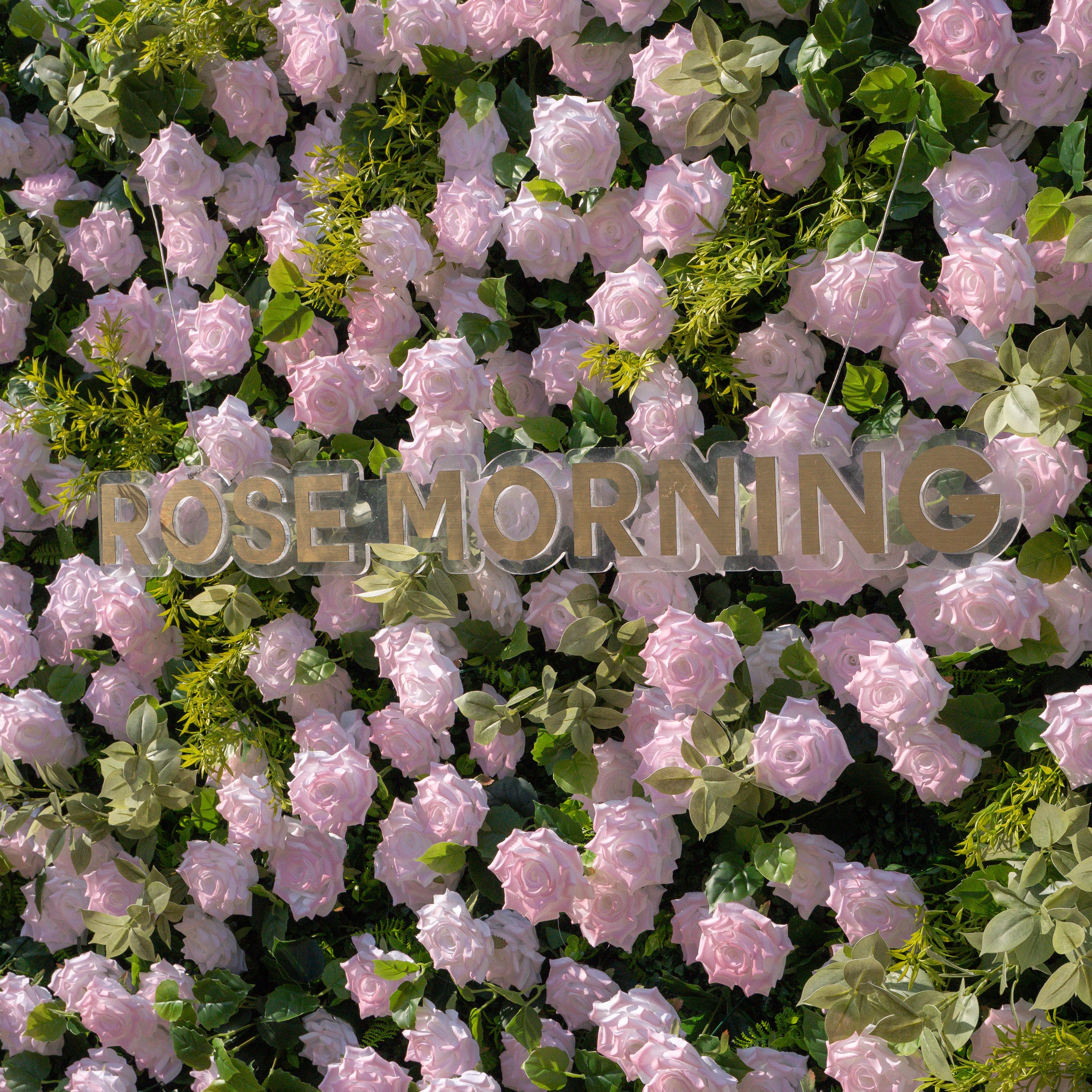 Magica：2026 New Launch-Sun-Activated Color-Changing Rose Flower Wall Backdrop (8×8) — One Wall, Two Looks: White Indoors → Blush Pink in Sunlight Free Shipping