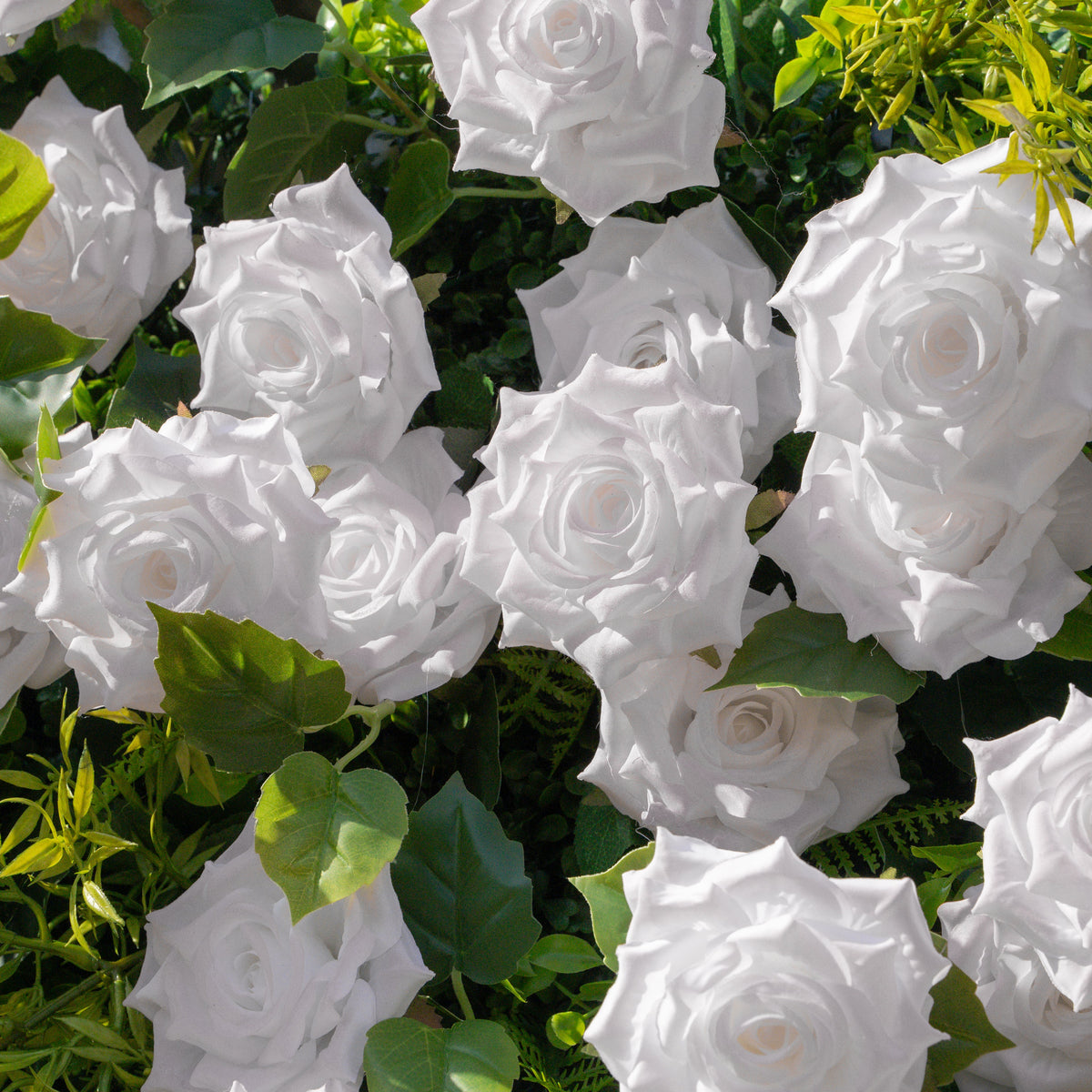 Magica：2026 New Launch-Sun-Activated Color-Changing Rose Flower Wall Backdrop (8×8) — One Wall, Two Looks: White Indoors → Blush Pink in Sunlight Free Shipping