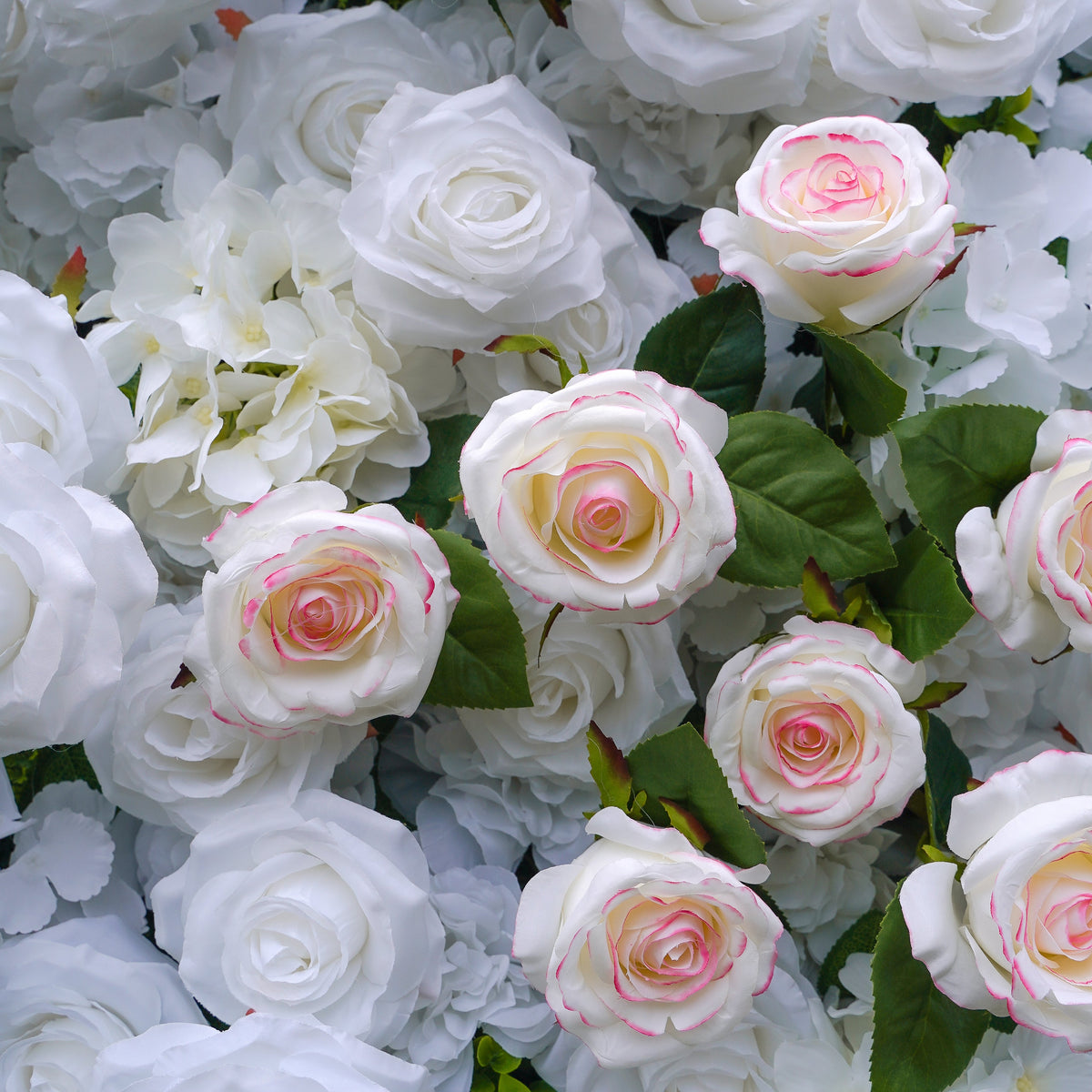 Majo：5D Fabric Artificial rolling up curtain flower wall Rose Morning