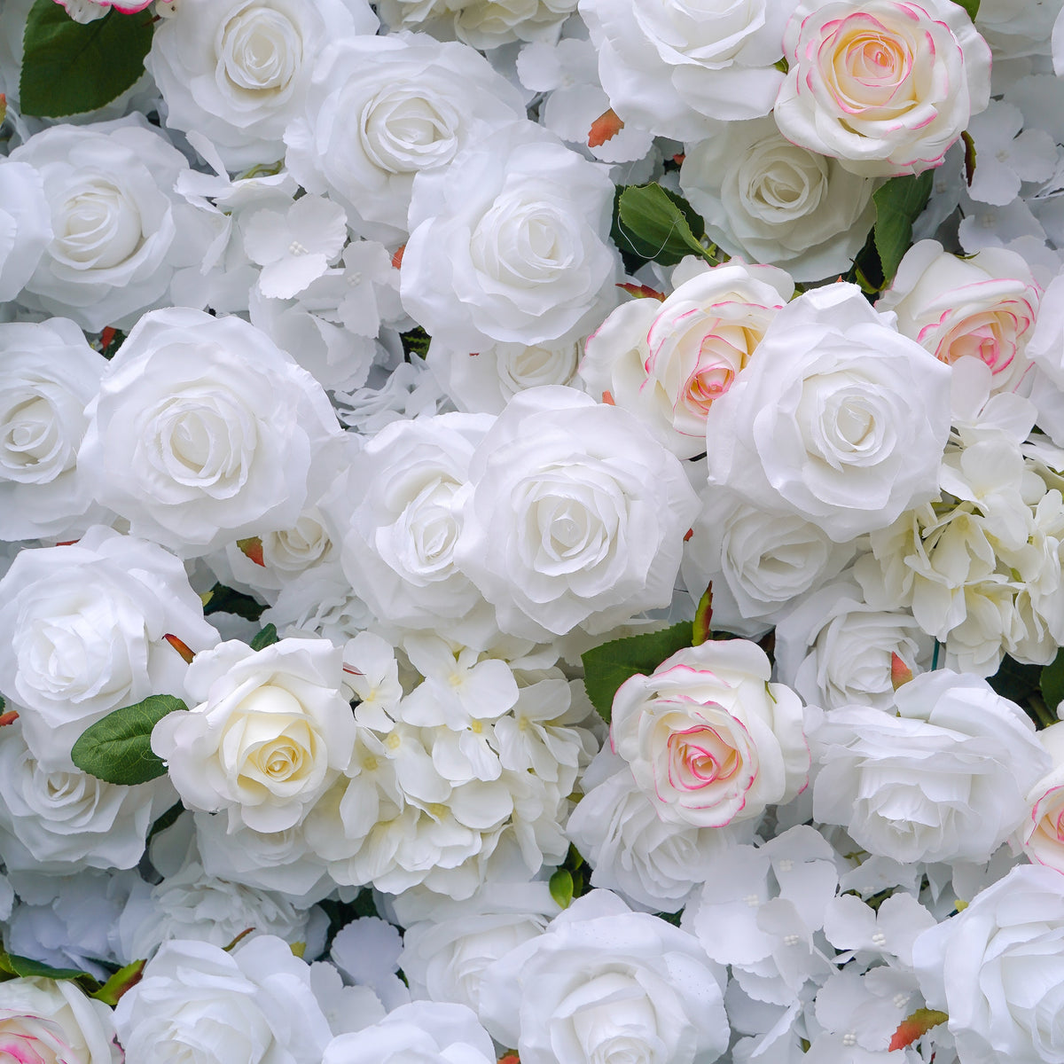 Majo：5D Fabric Artificial rolling up curtain flower wall Rose Morning