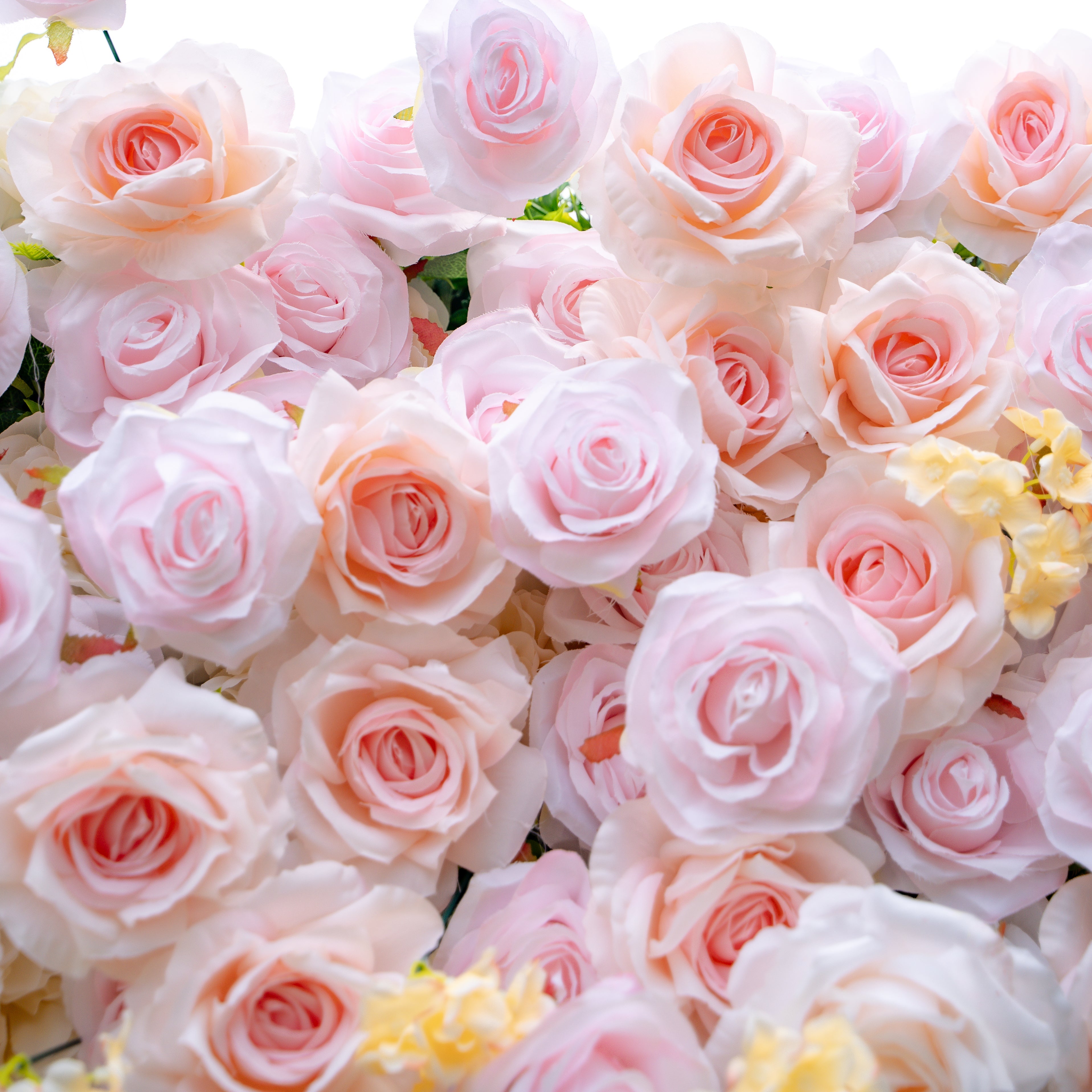 Melina：5D Fabric Artificial rolling up curtain flower wall (Ready to ship) Rose Morning