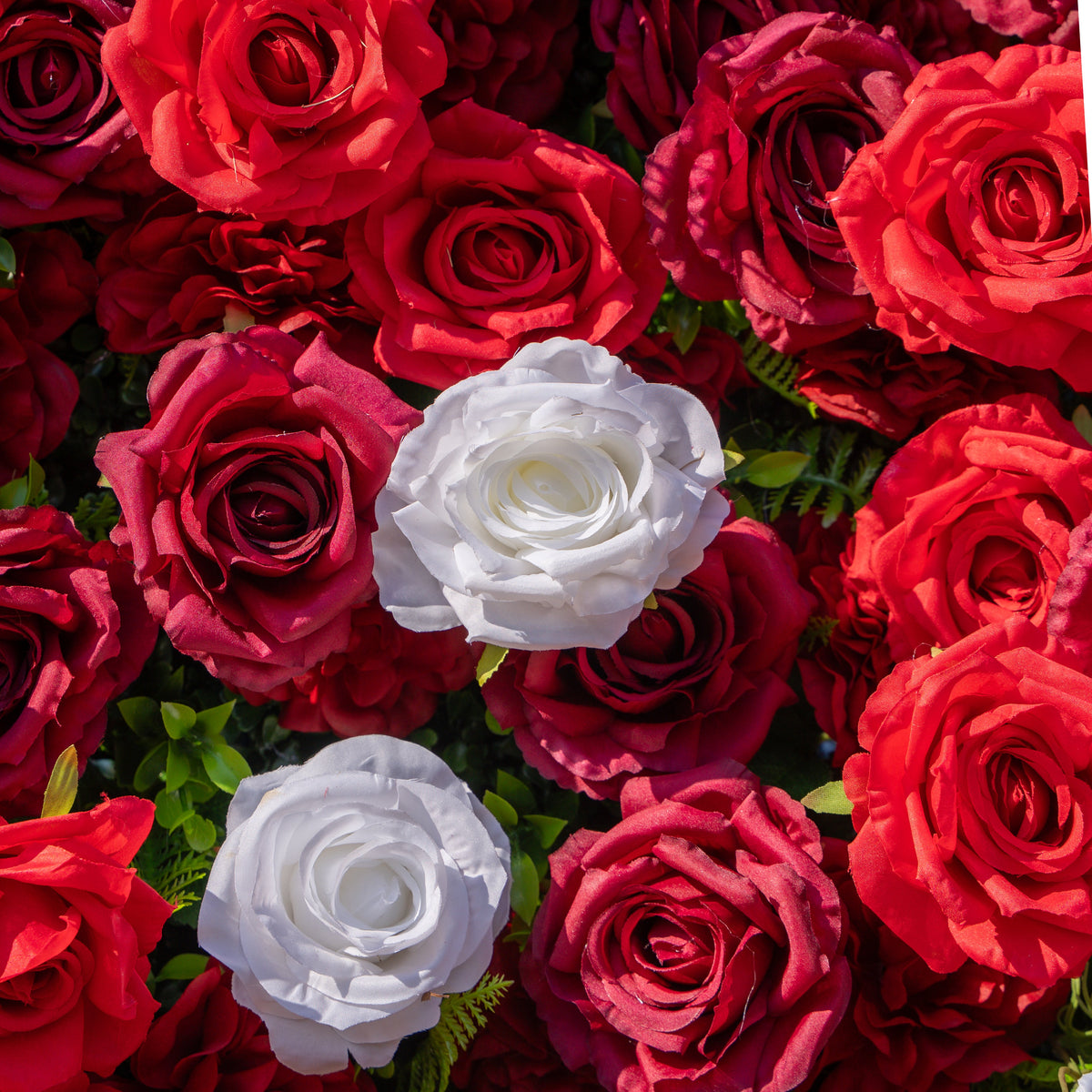 Meraki: 3D  Luxury Crimson Red & White Silk Floral Wall Roll-Up Fabric Backdrop for Grand Weddings & Valentine’s Events Free Shipping