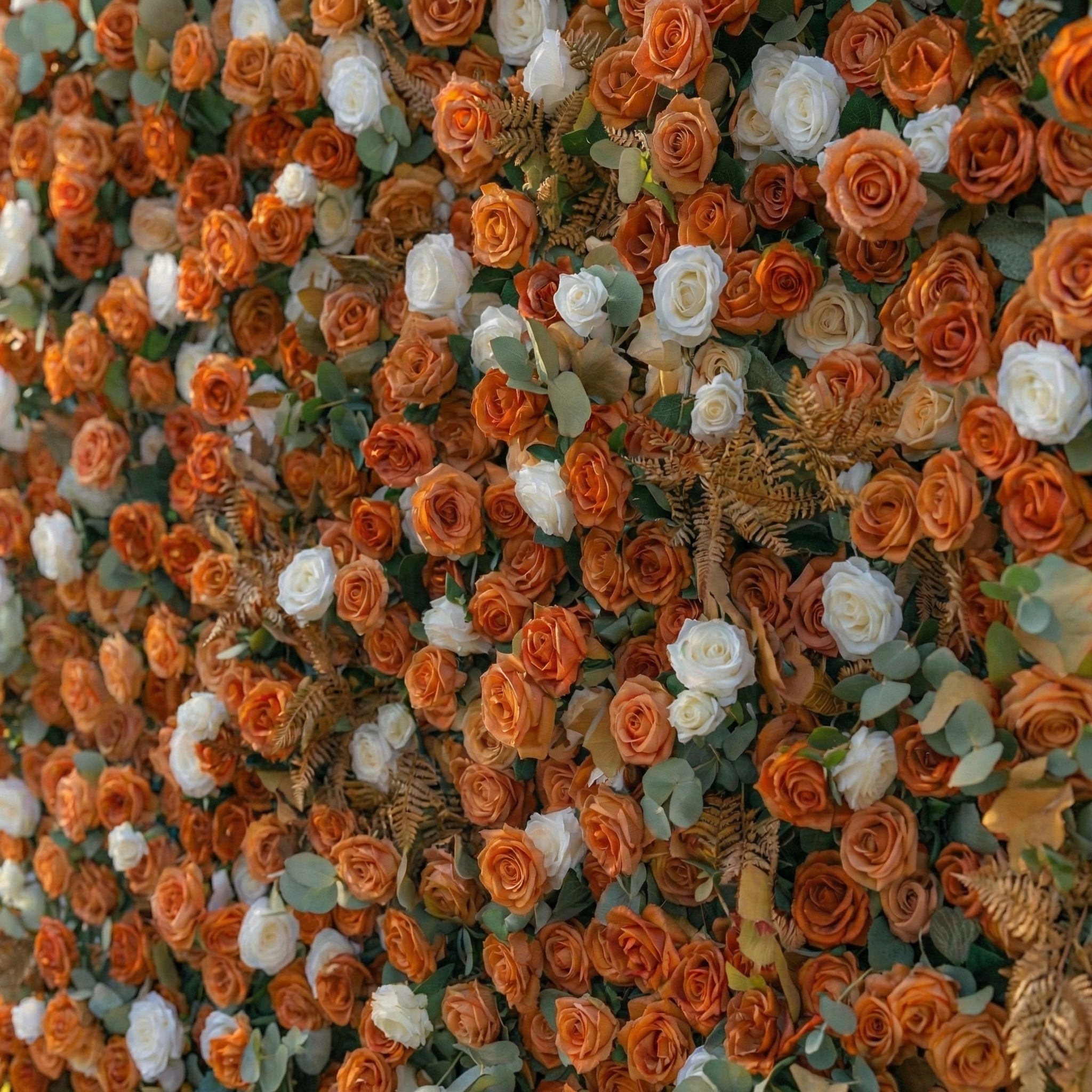 Morgan: Luxury 5D Terracotta & Cream Silk Rose Flower Wall Roll-Up Fabric Backdrop for Luxury Weddings & Garden Parties Free Shipping