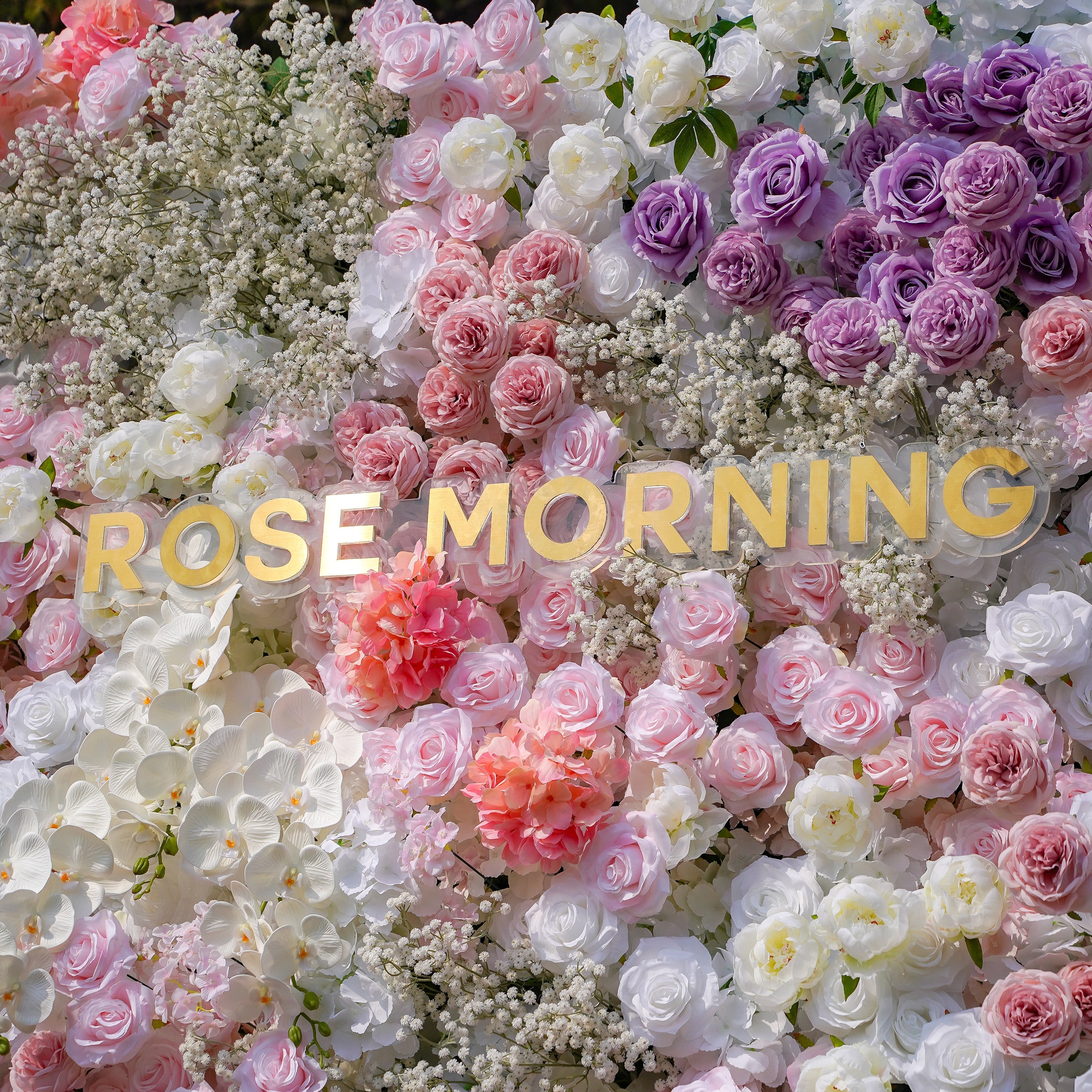 Nari：5D Fabric Artificial rolling up curtain flower wall Rose Morning