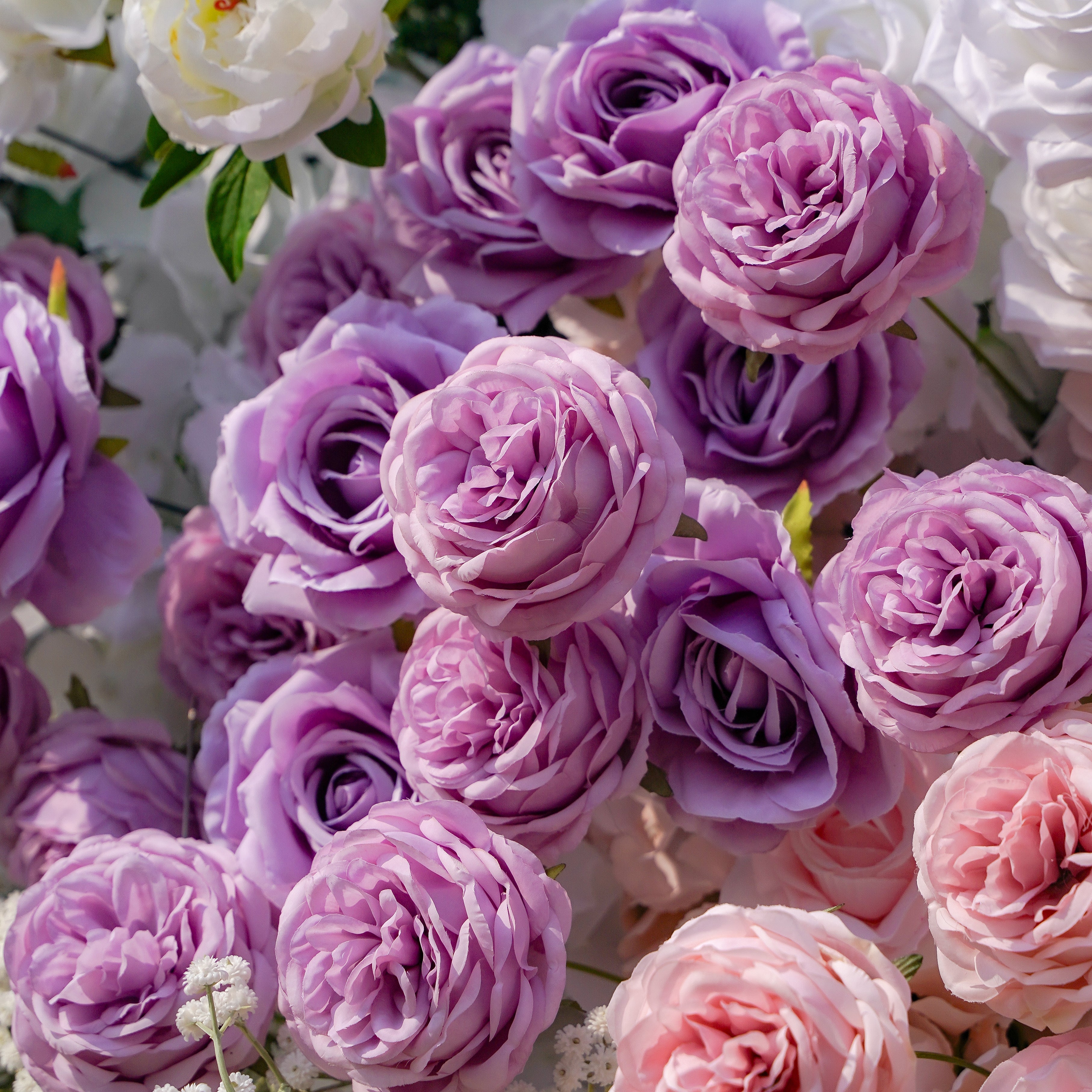 Nari：5D Fabric Artificial rolling up curtain flower wall Rose Morning