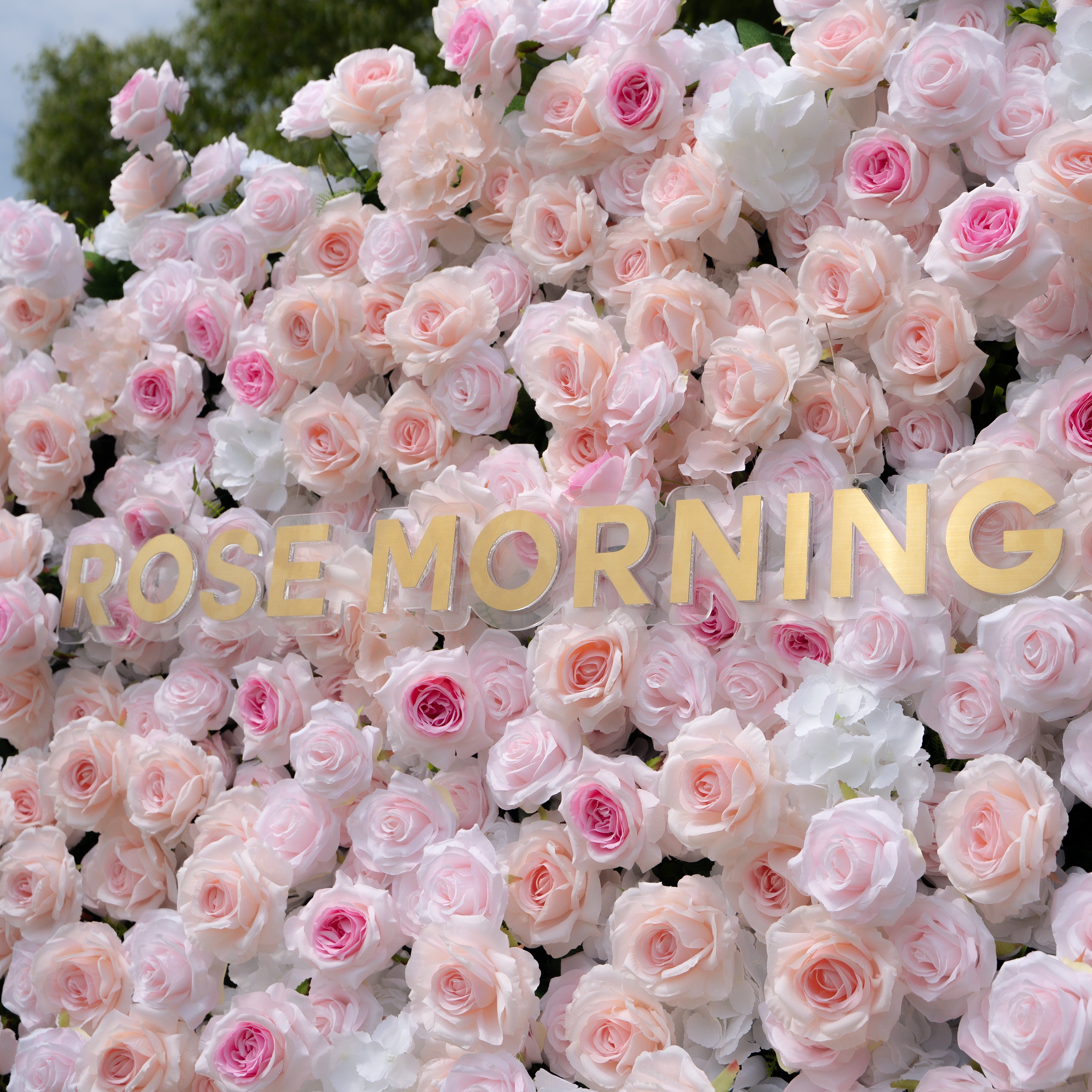 Natalia：5D Fabric Artificial rolling up curtain flower wall（复制） Rose Morning