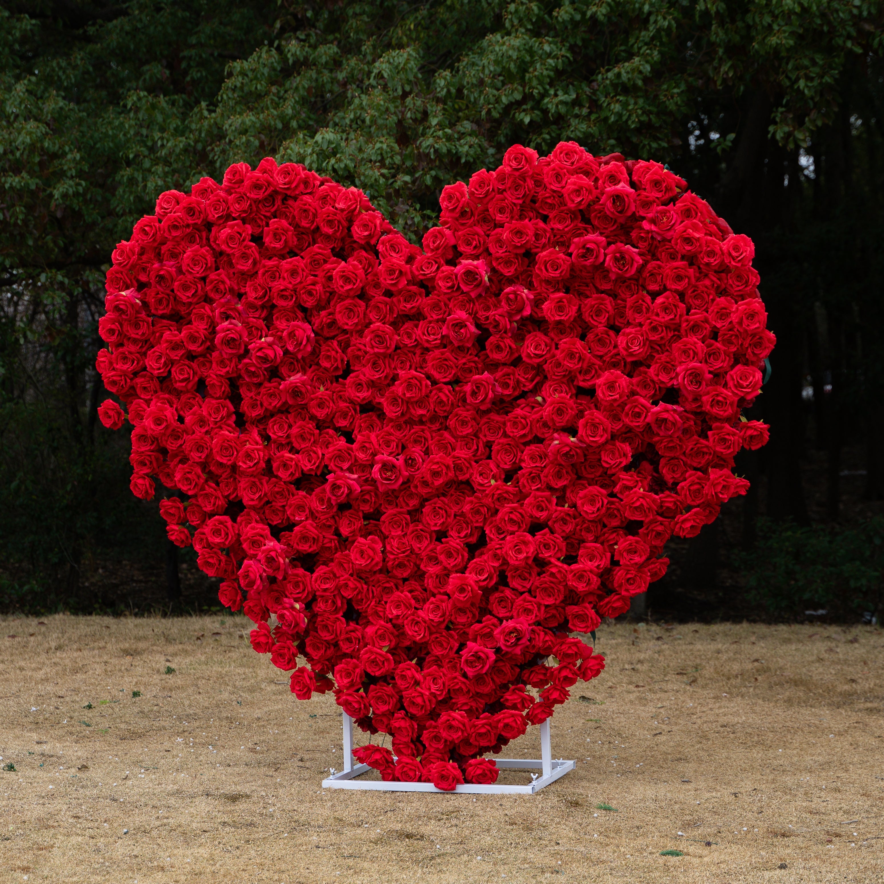Passion: The Perfect Valentine’s Surprise Luxury 3D Red Rose Passion Heart Wall(6.2ft*6.9ft) Free Shipping