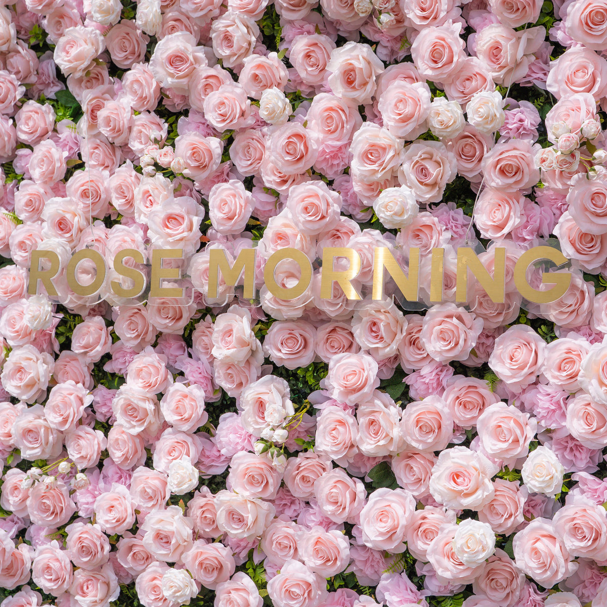 Querido：3D Fabric Artificial rolling up curtain flower wall Free Shipping
