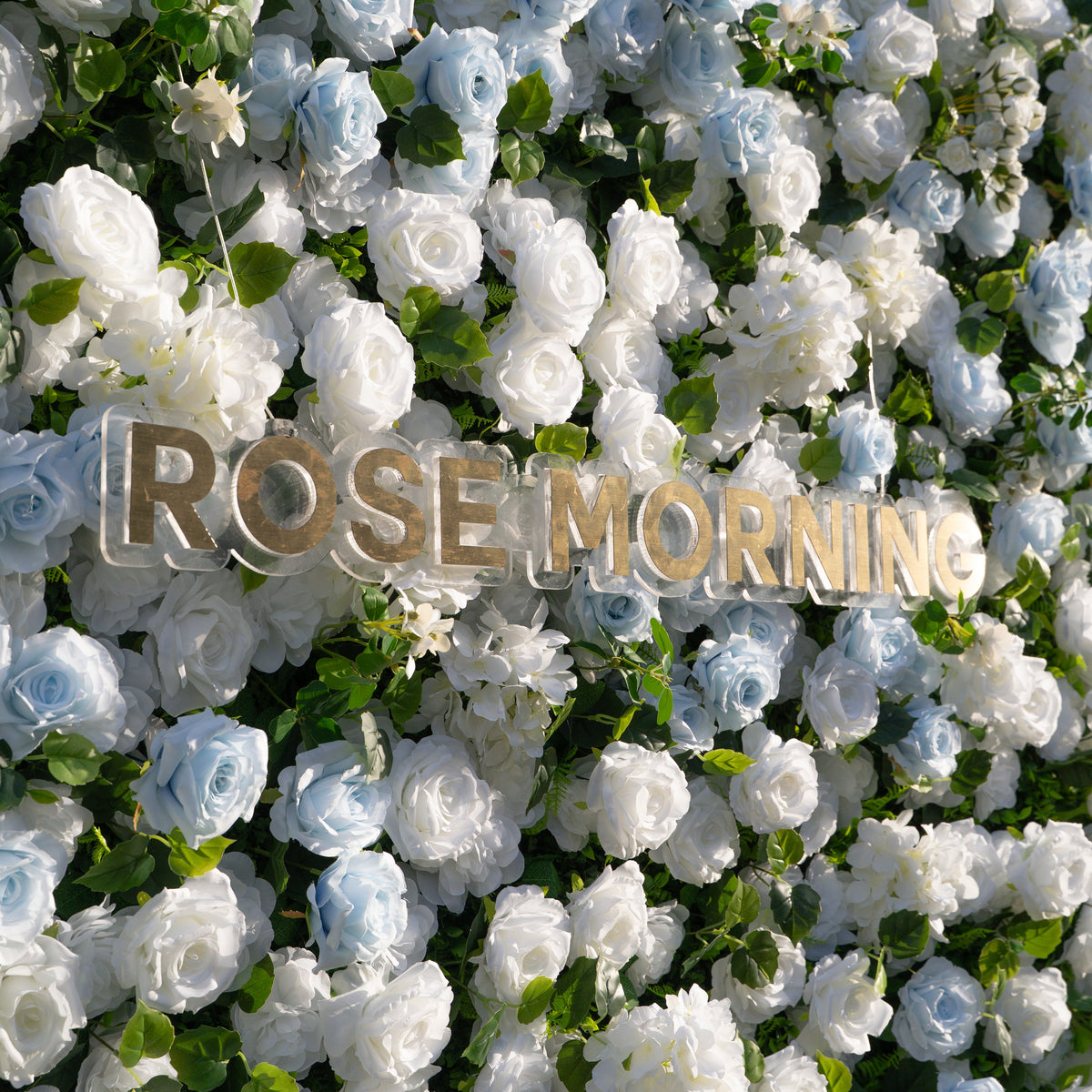 Seasalt：3D Fabric Artificial rolling up curtain flower wall Free Shipping